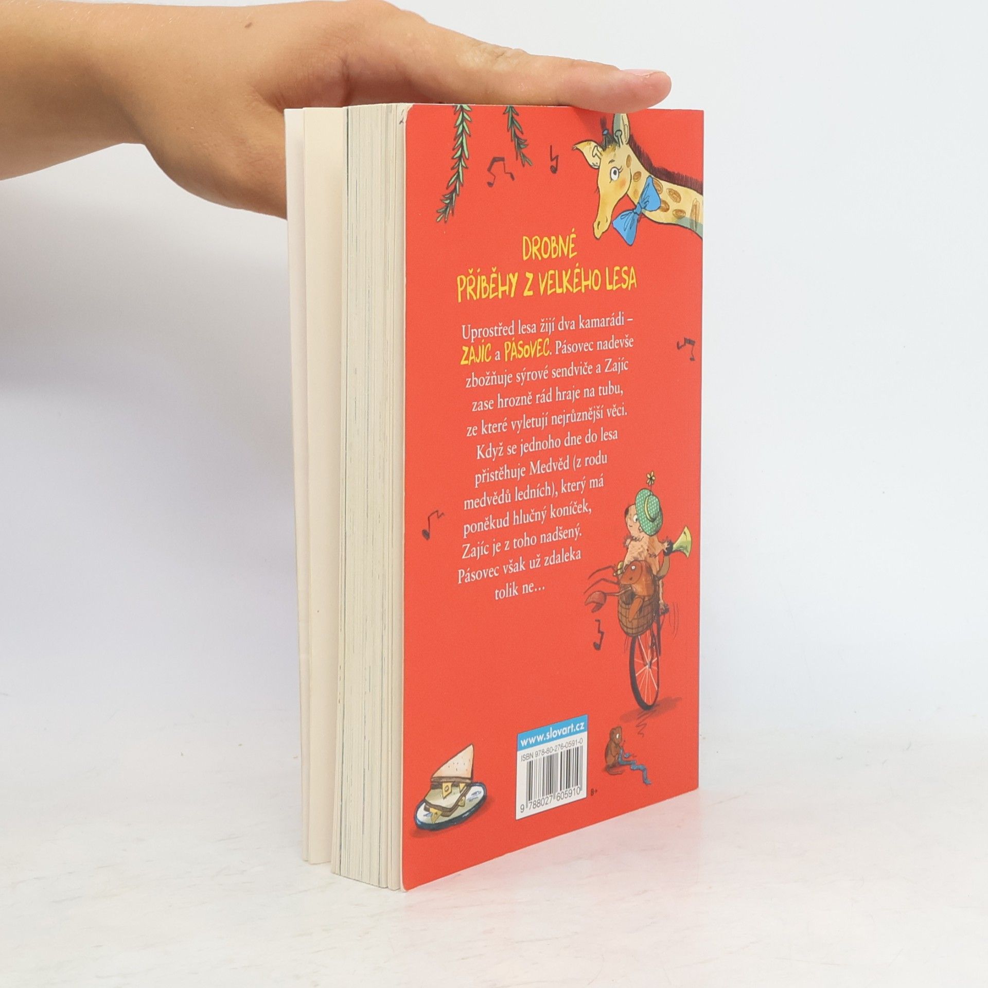 Jeremy Strong Pásovec, Zajíc a příliš hlučný medvěd