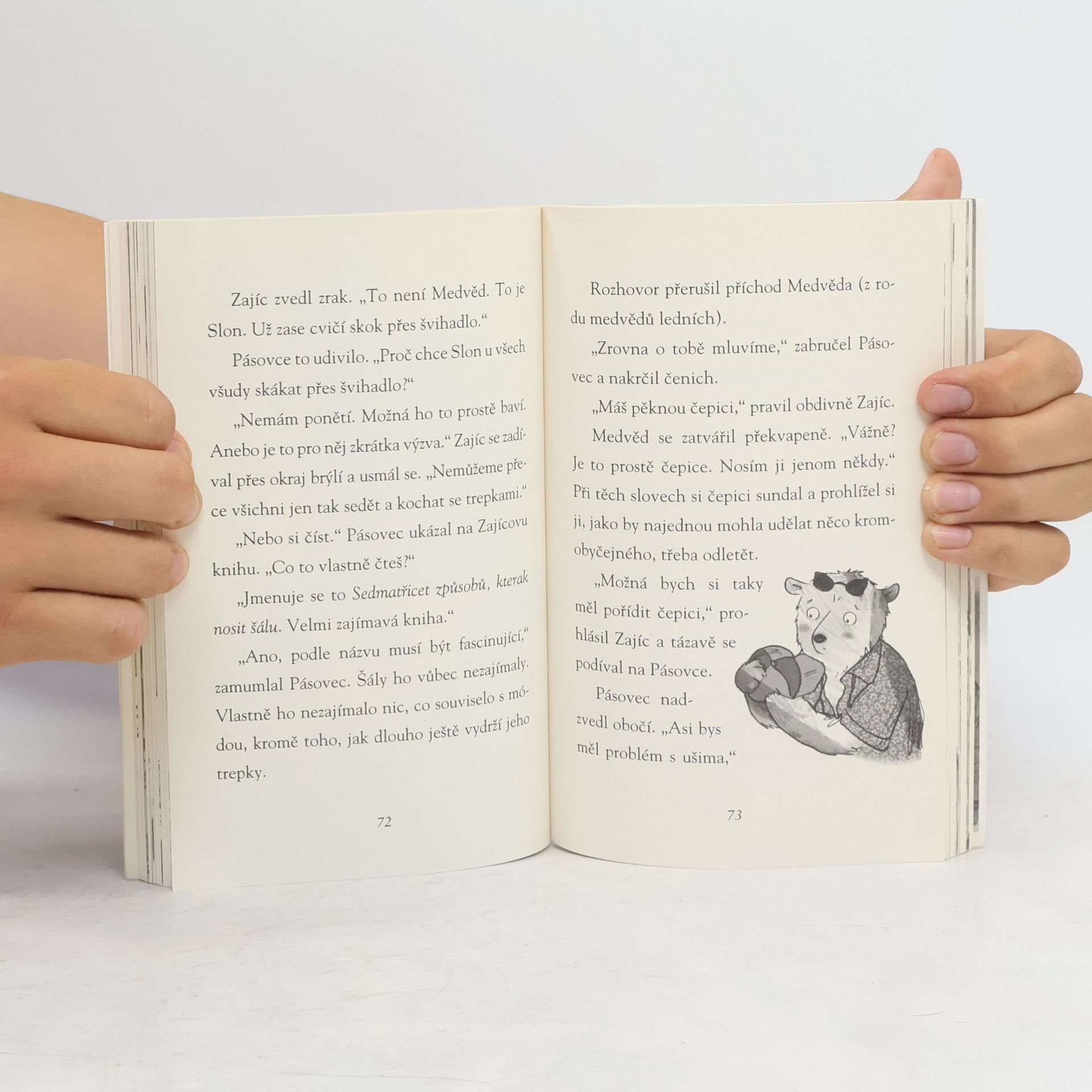 Jeremy Strong Pásovec, Zajíc a příliš hlučný medvěd