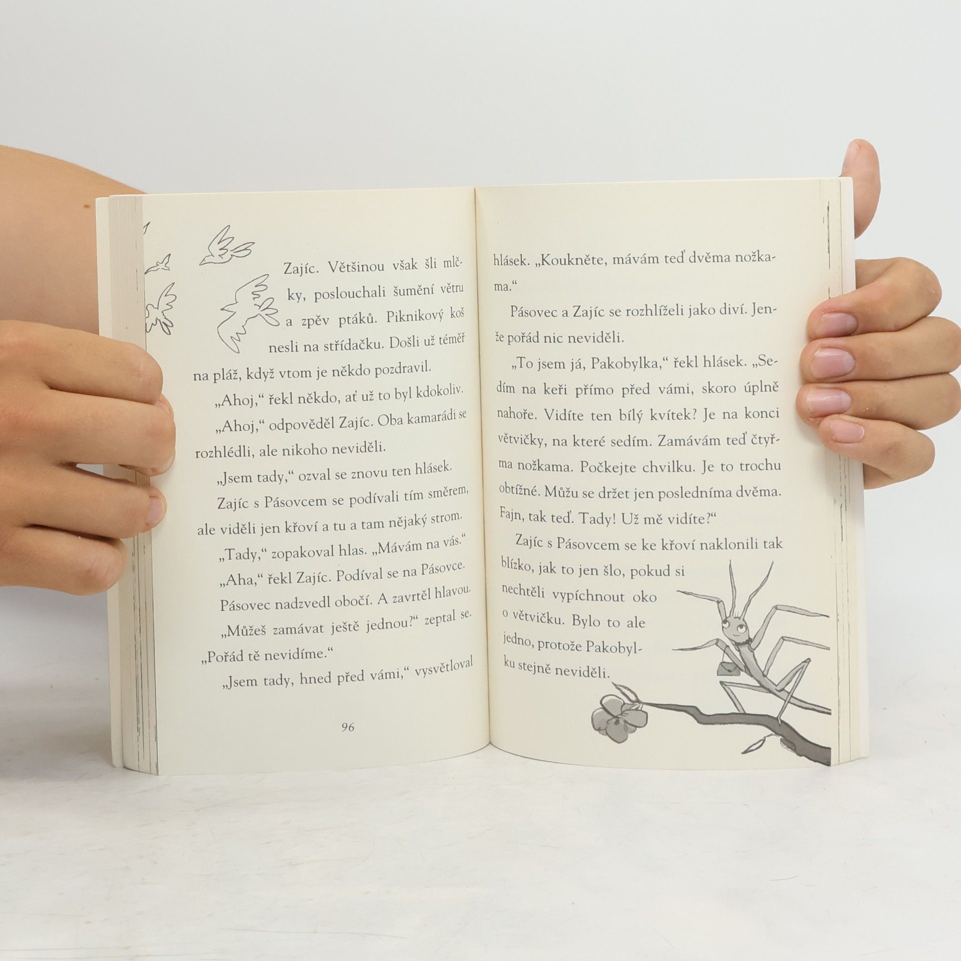 Jeremy Strong Pásovec, zajíc a řada nečekaných návštěv
