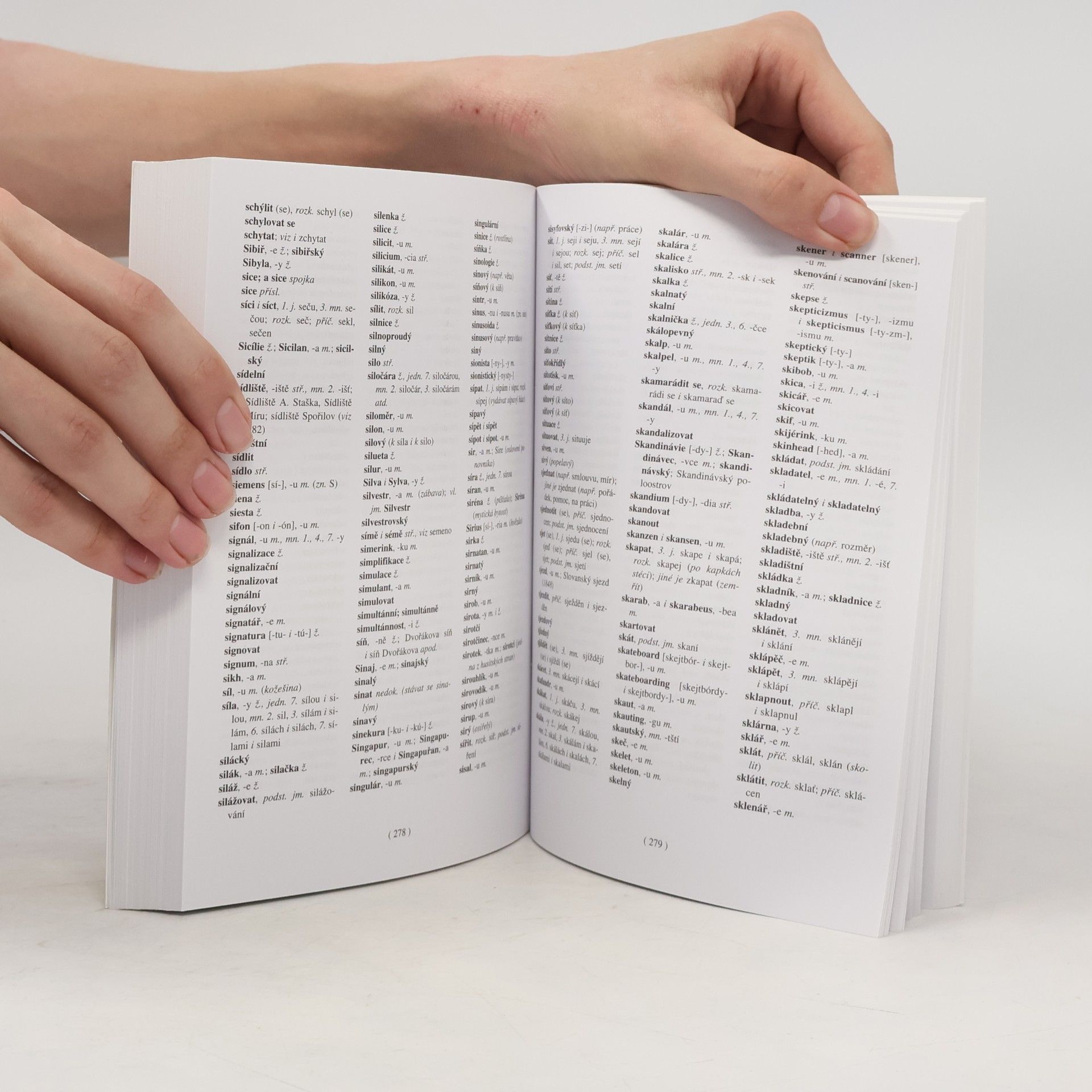 Autorenkollektiv Pravidla českého pravopisu : školní vydání včetně Dodatku
