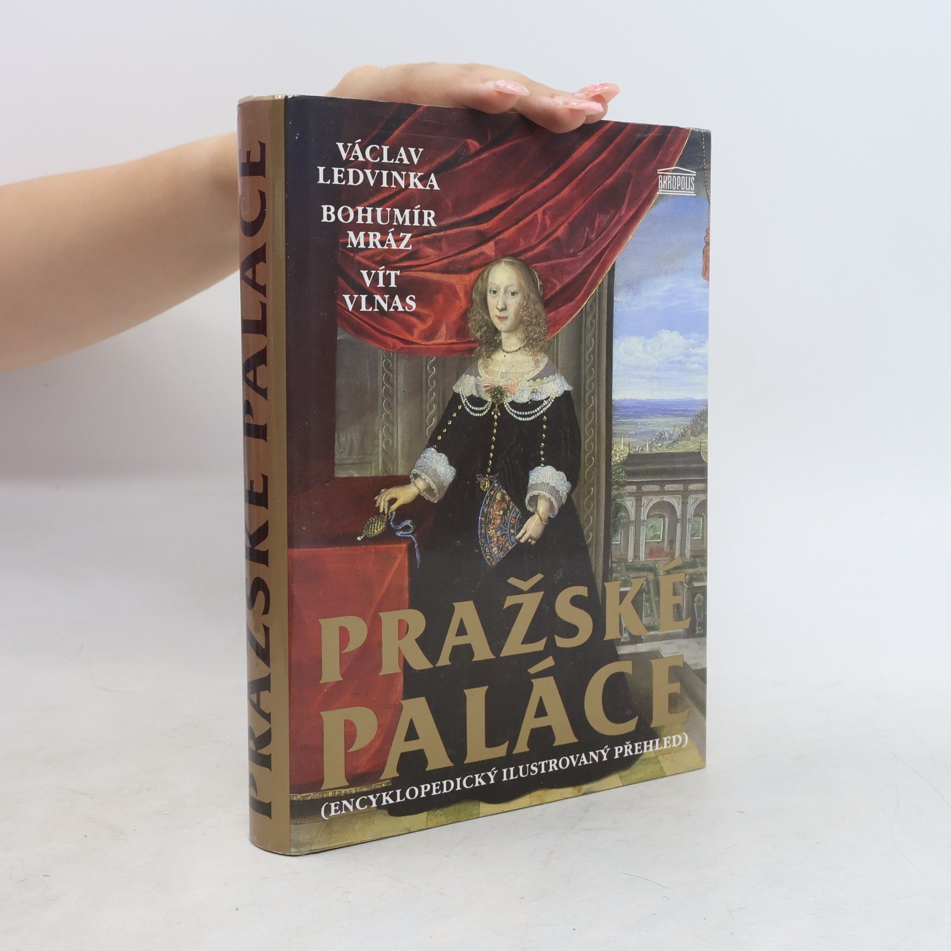 Václav Ledvinka Pražské paláce