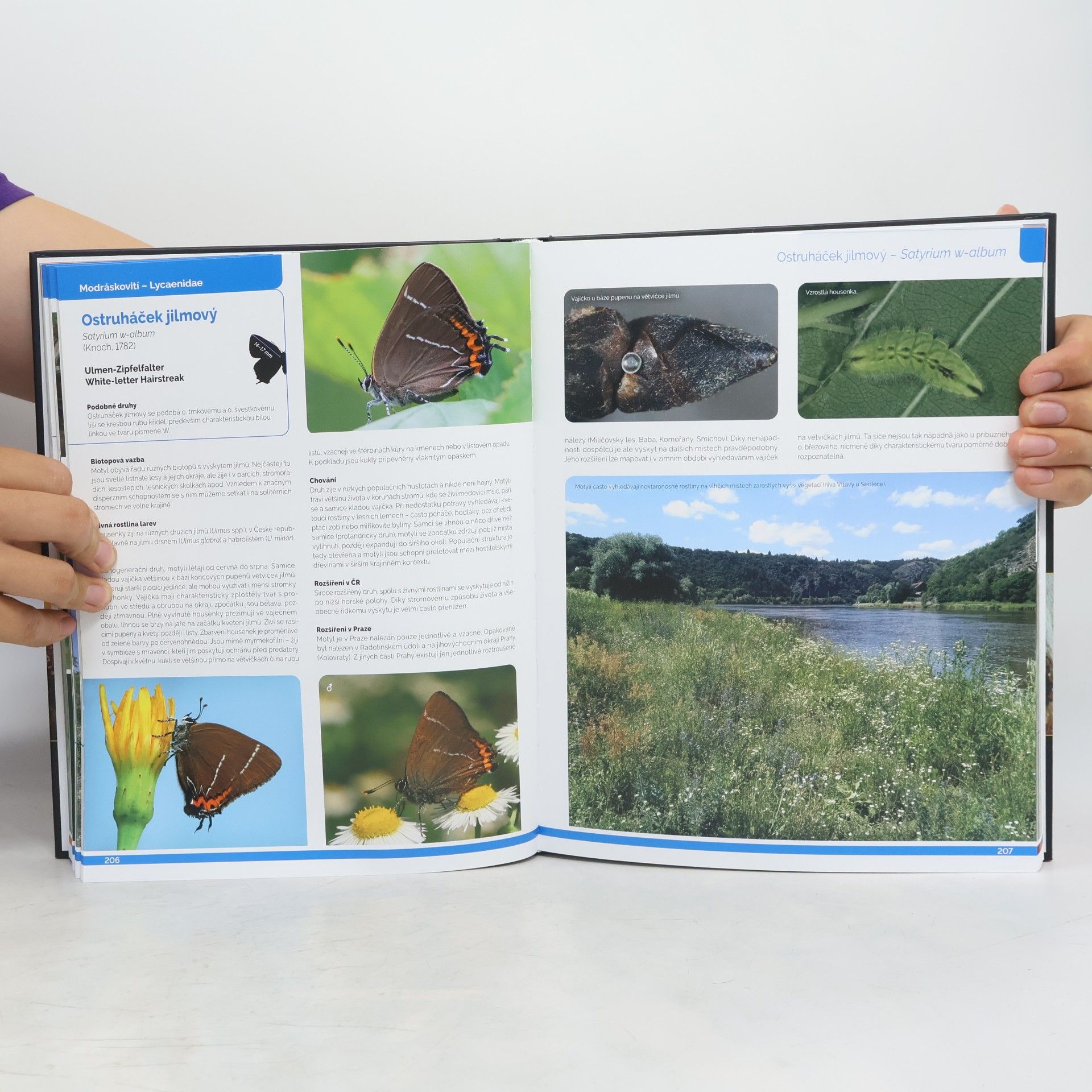 Kolektiv autorů Denní motýli Prahy : atlas rozšíření