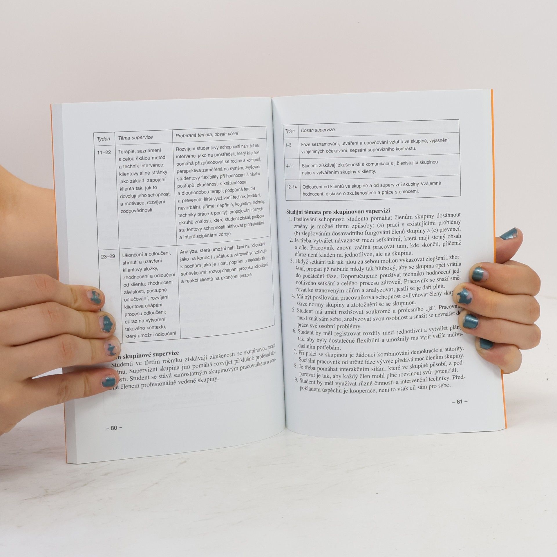 Oldřich Matoušek Vzdělávání studentů sociální práce v terénu - model pro supervizi