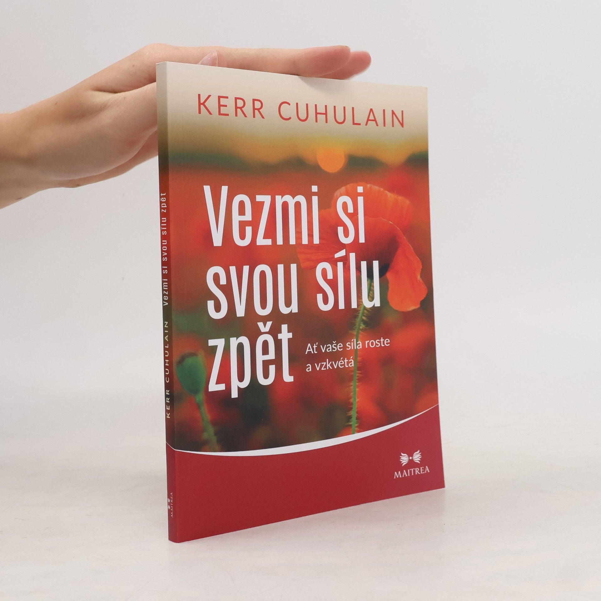 Kerr Cuhulain Vezmi si svou sílu zpět : ať vaše síla roste a vzkvétá
