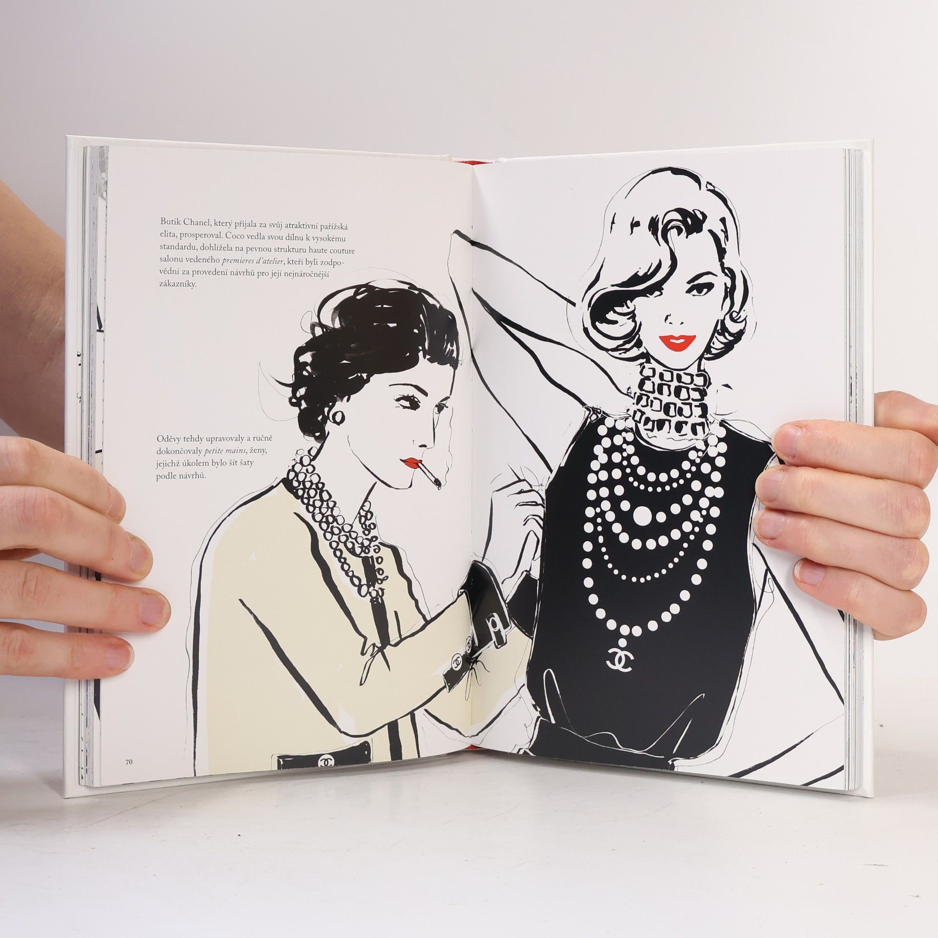 Megan Hess Coco Chanel. Ilustrovaný svět módní ikony