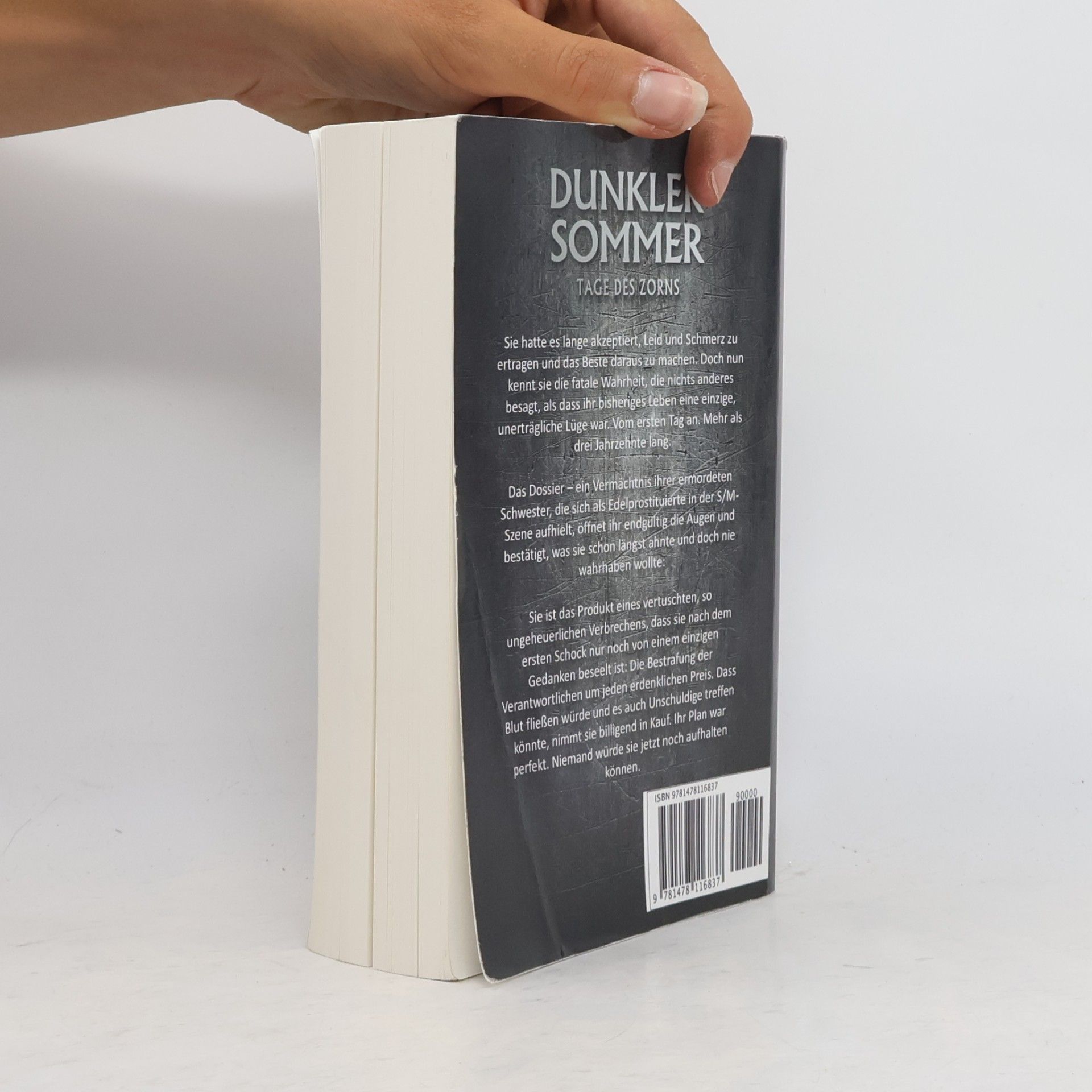 Michael Baacke Dunkler Sommer