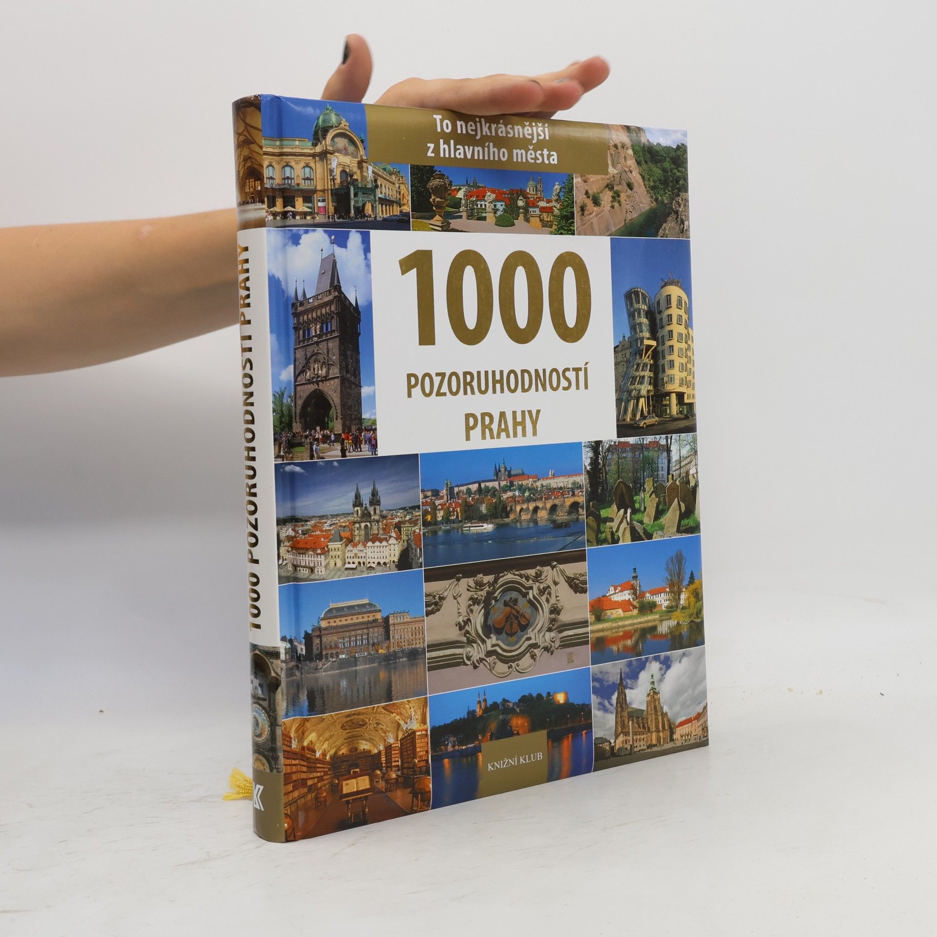 Petr David 1000 pozoruhodností Prahy