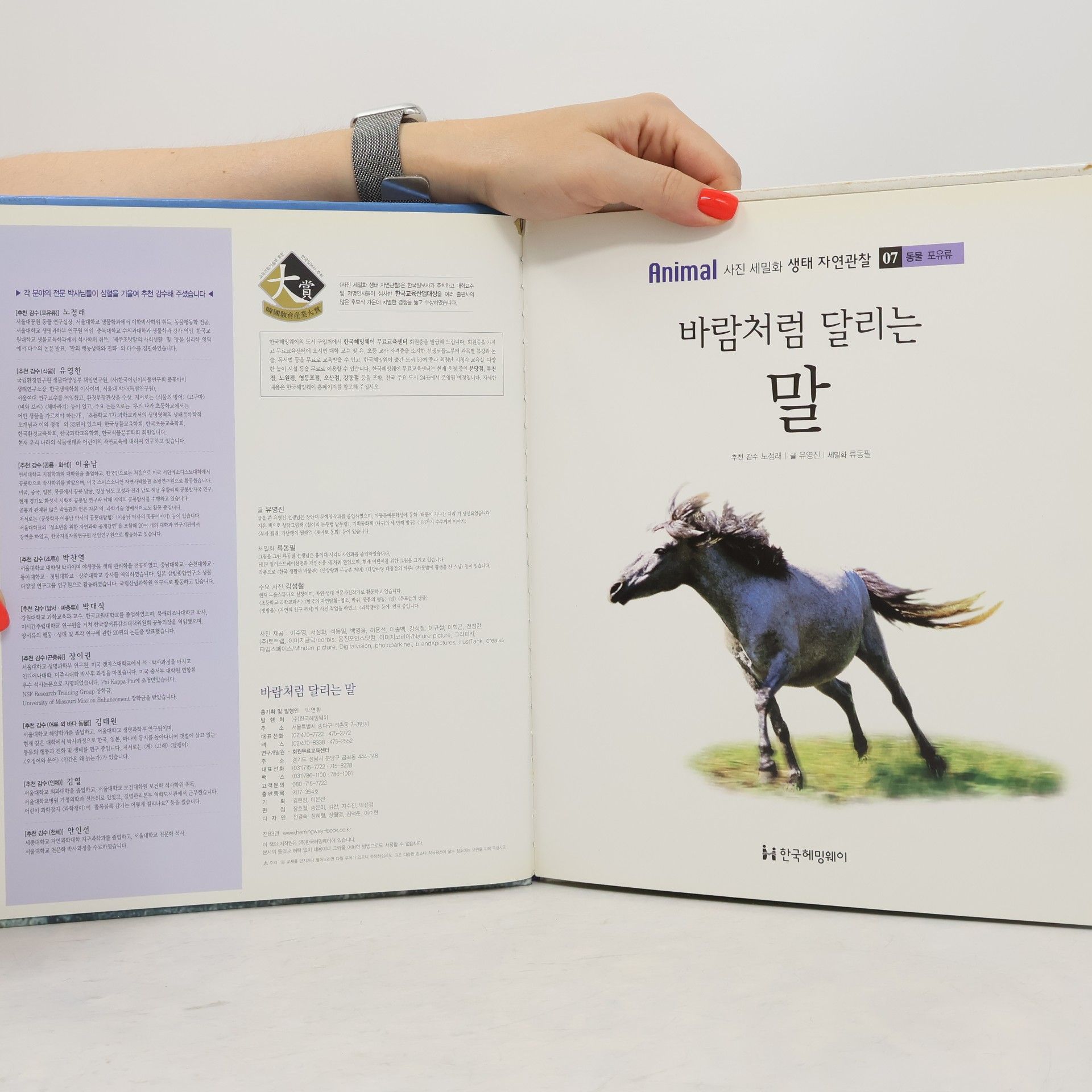 유영진 바람처럼 달리는 말 07
