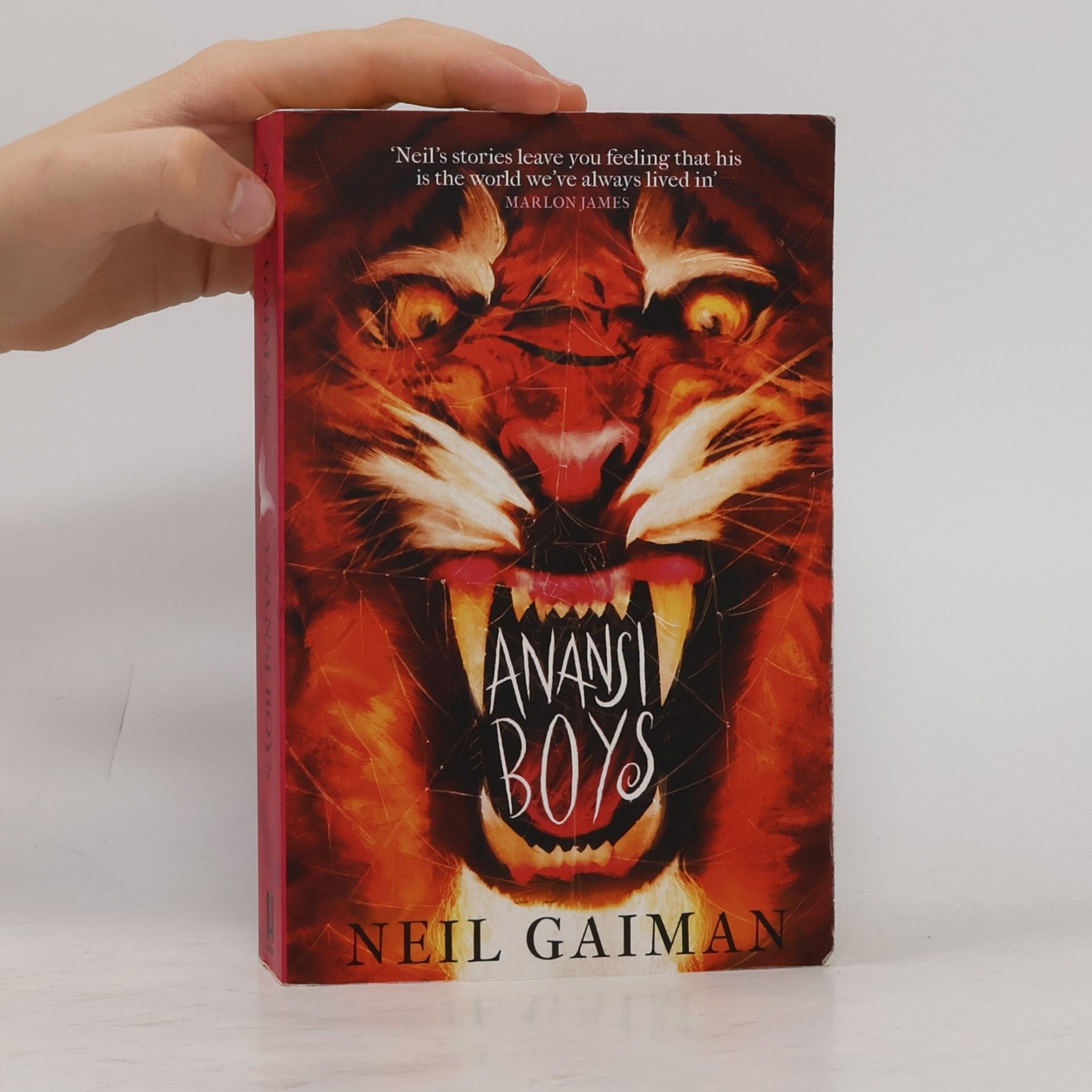 Neil Gaiman Anansi Boys