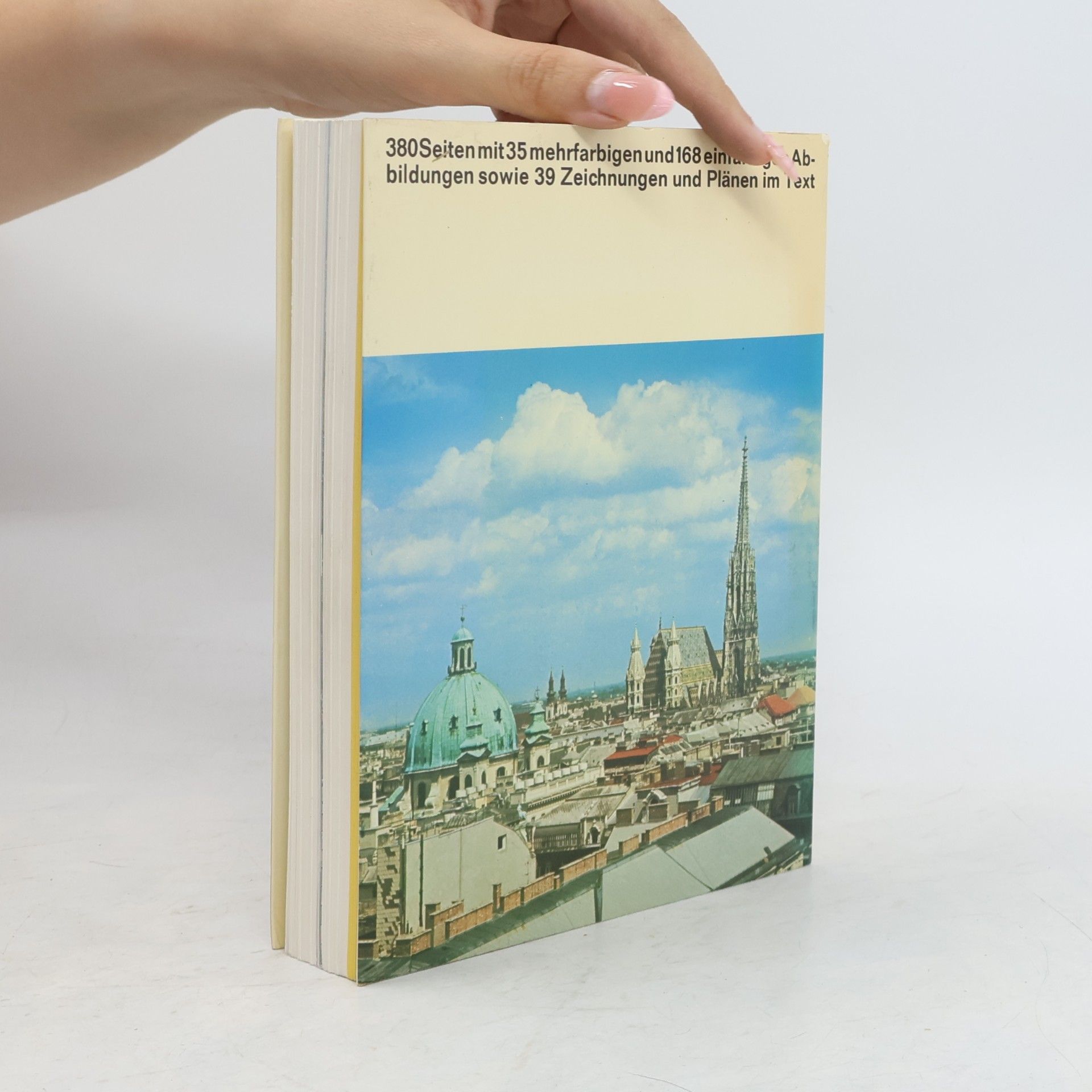 DuMont Kunst-Reiseführer Wien und Umgebung. Kunst, Kultur und Geschichte der Donaumetropole
