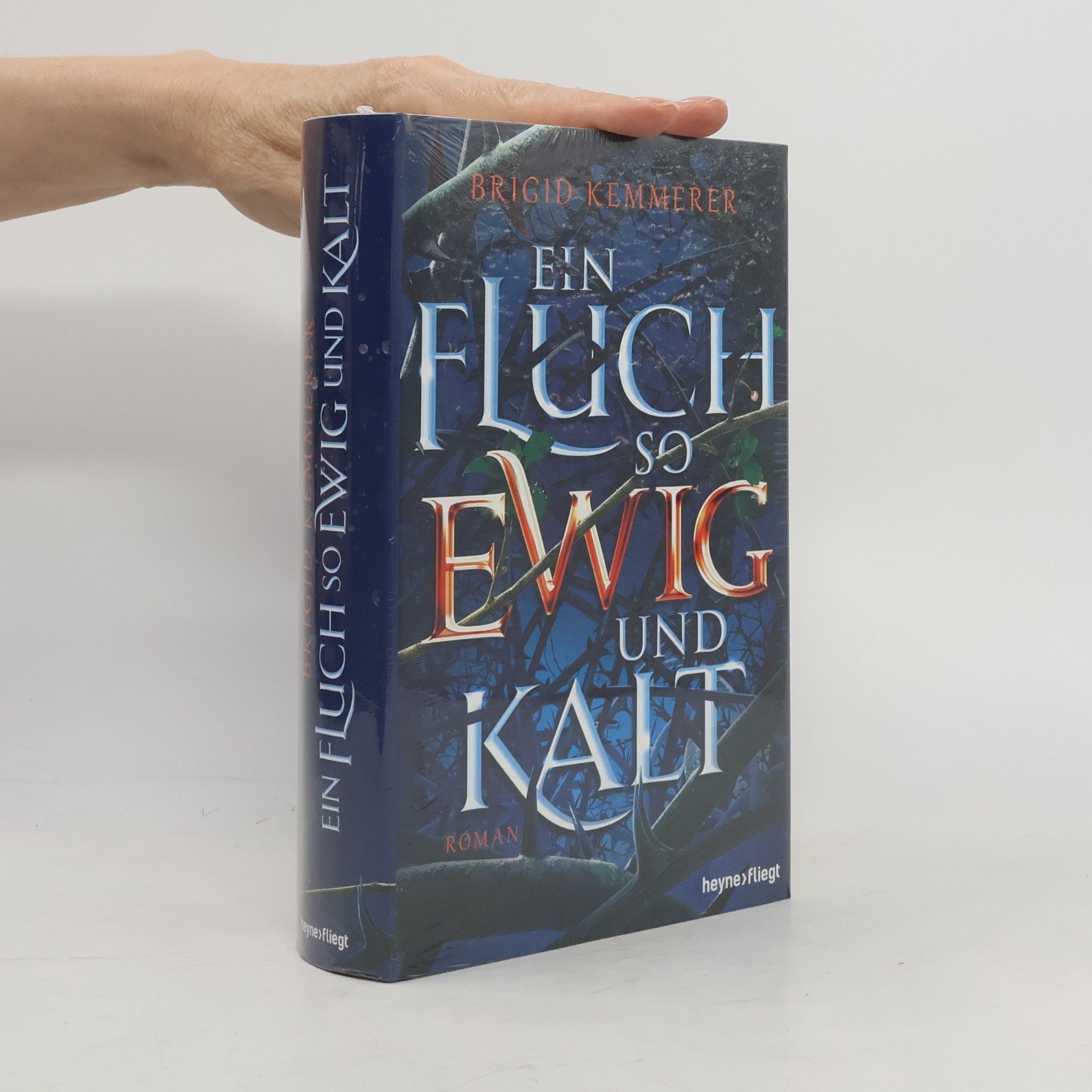 Brigid Kemmerer Ein Fluch so ewig und kalt