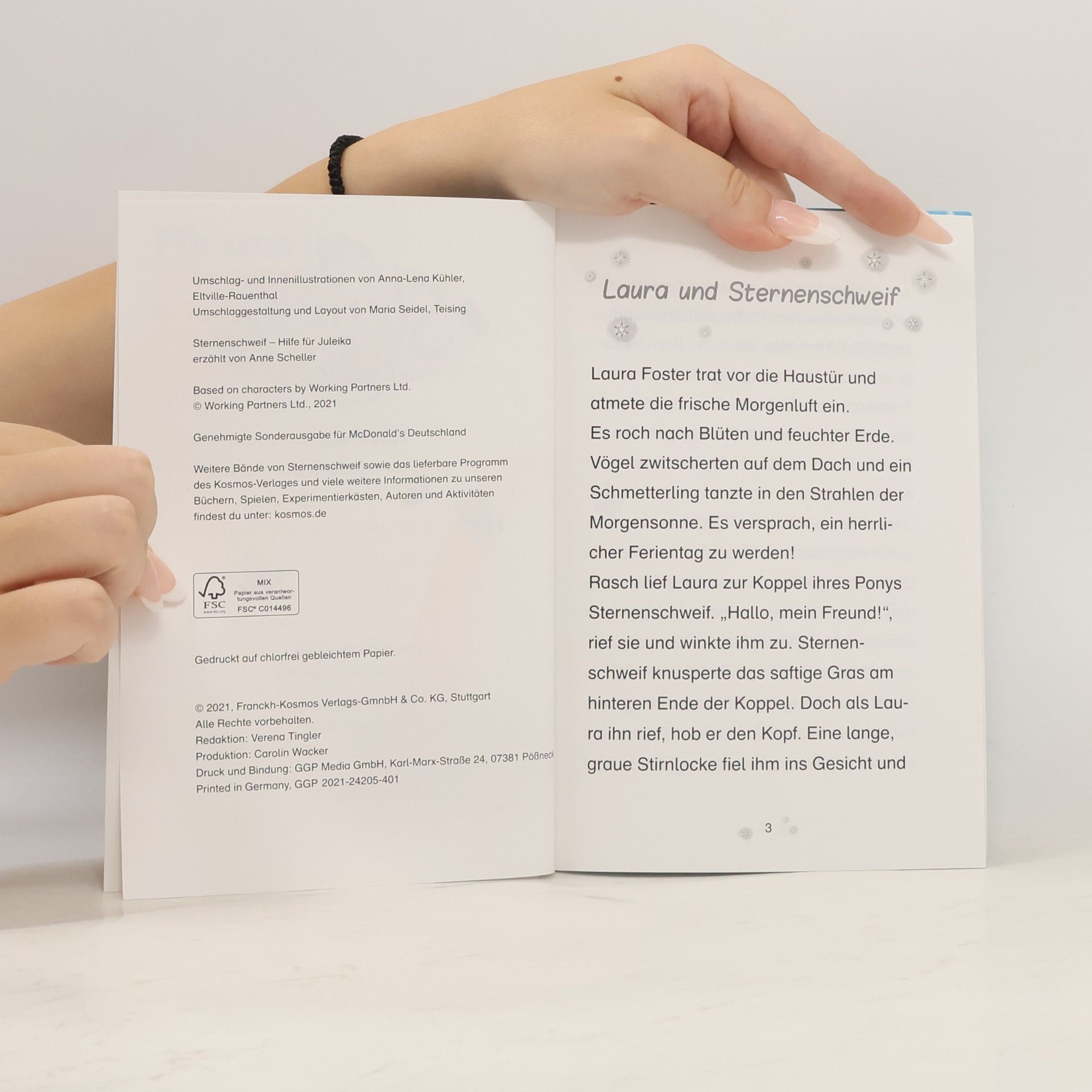 Autorenkollektiv Sternschweif. Hilfe für Juleika
