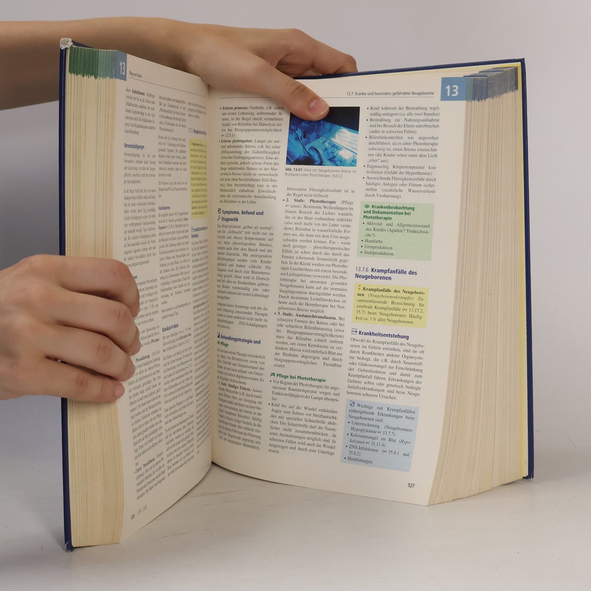Angelika Abt-Zegelin Pflege heute. Lehrbuch und Atlas für Pflegeberufe