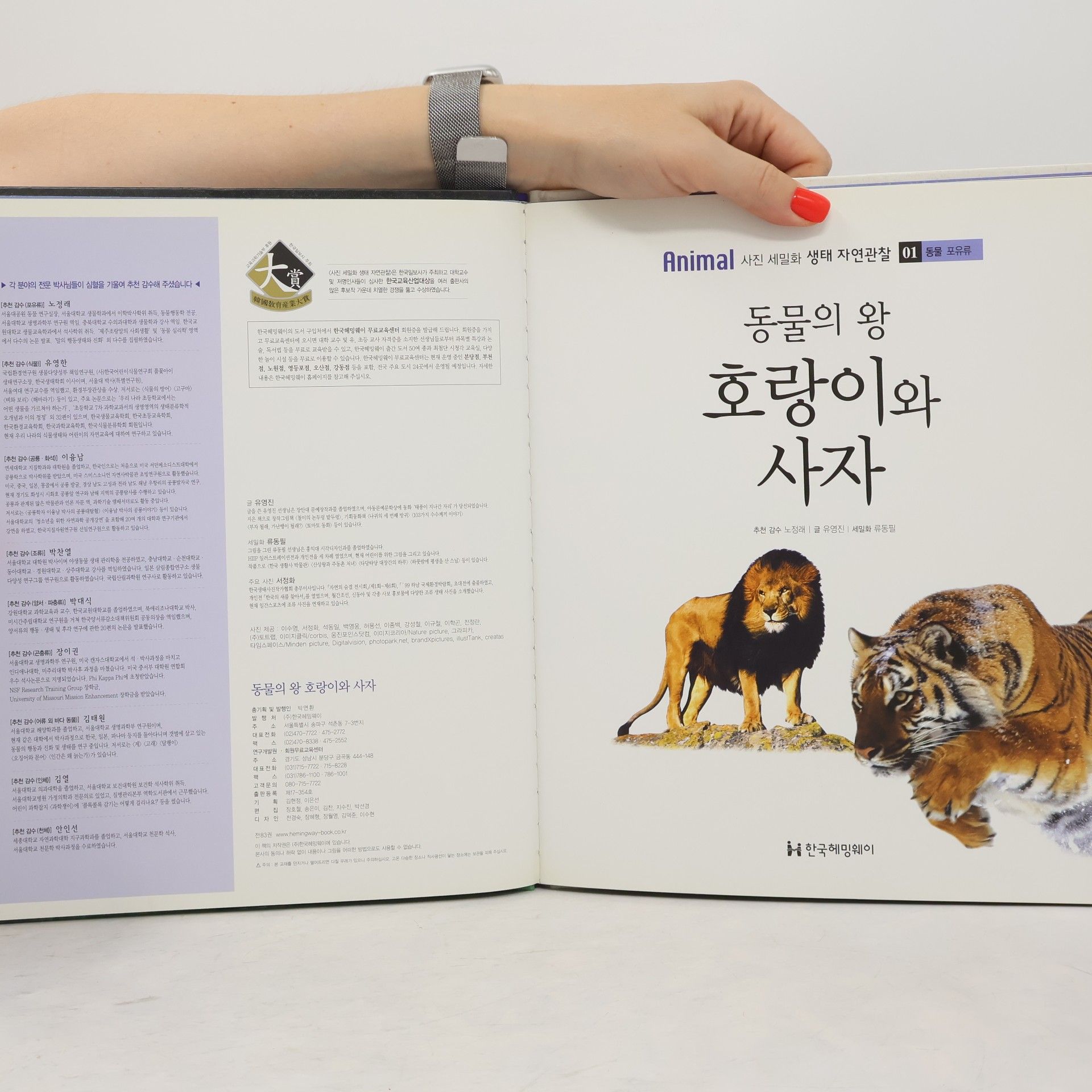 노정래 동물의 왕 호랑이와 사자 01