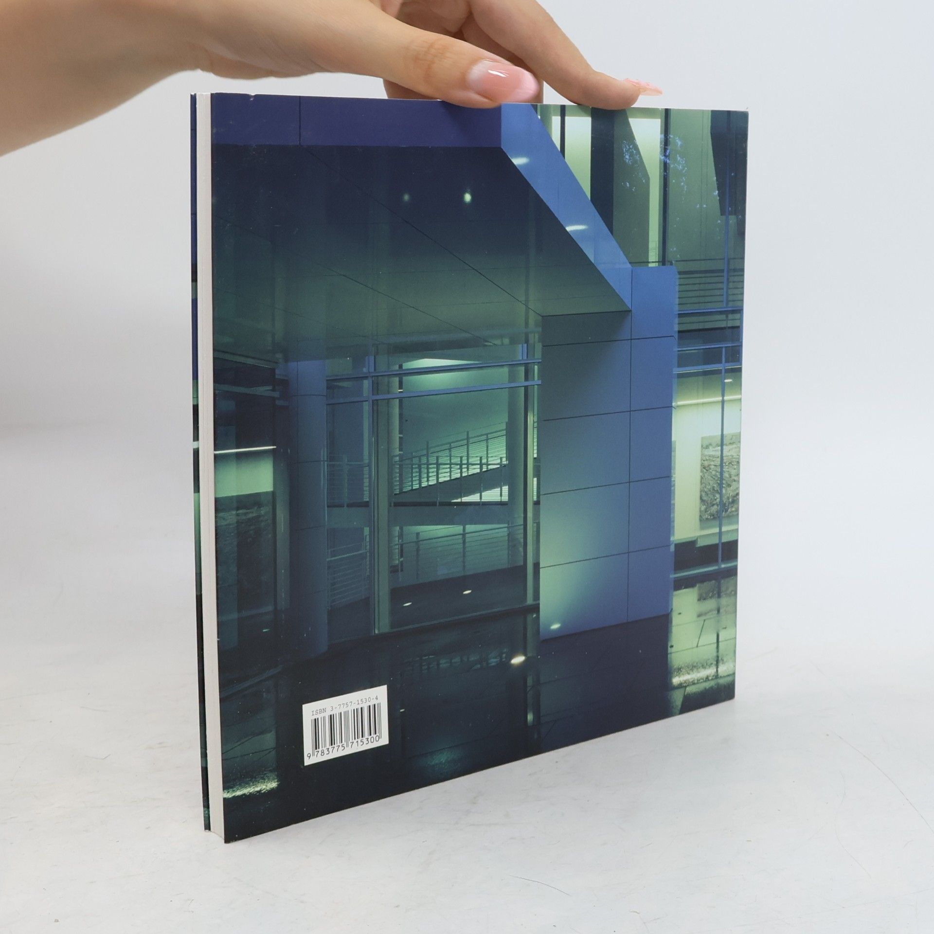 Richard Meier Sammlung Frieder Burda