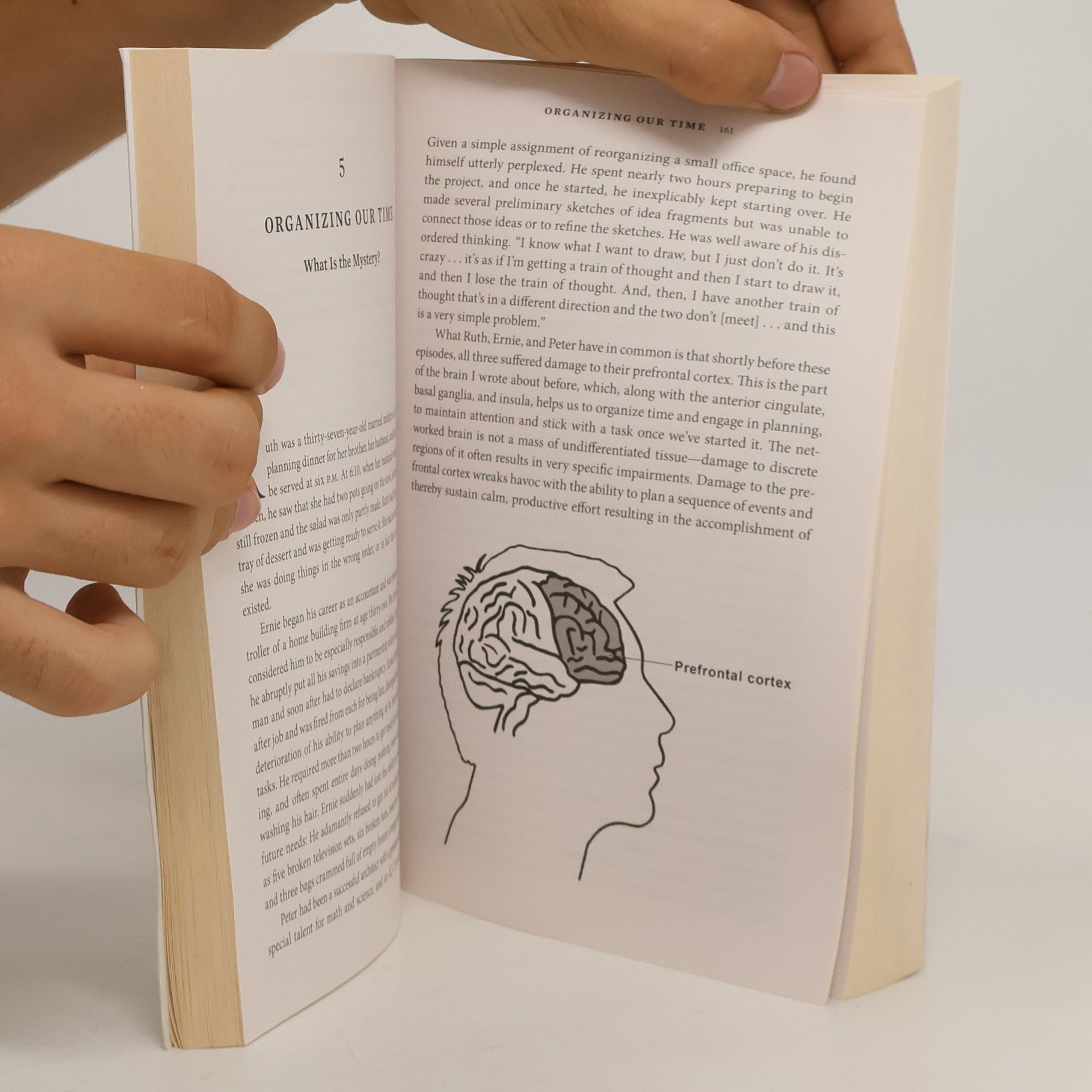 Daniel Levitin The Organized Mind
