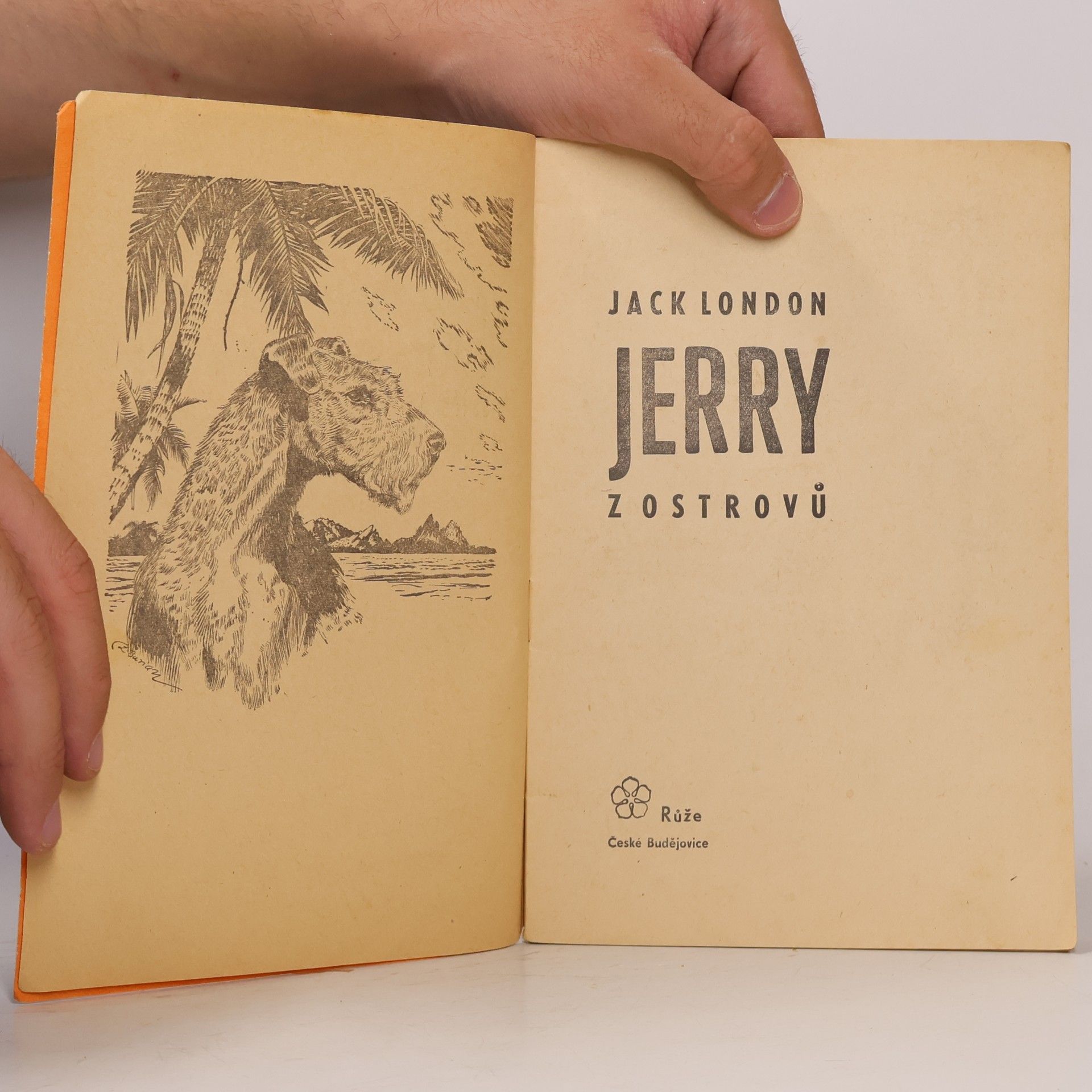 Jack London Statečná srdce 8. Jerry z ostrovů