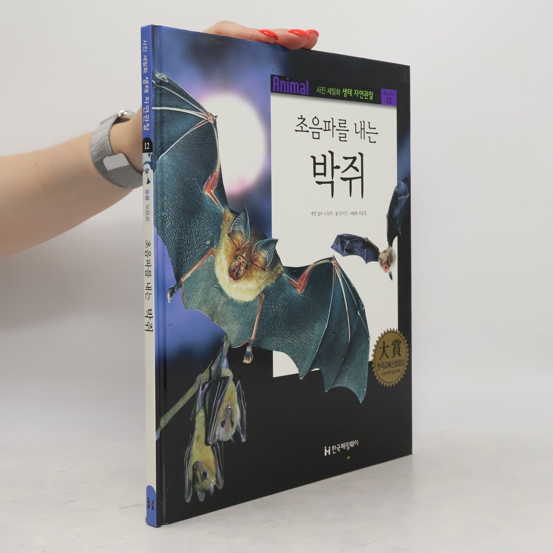 양미진 초음파를 내는 박쥐