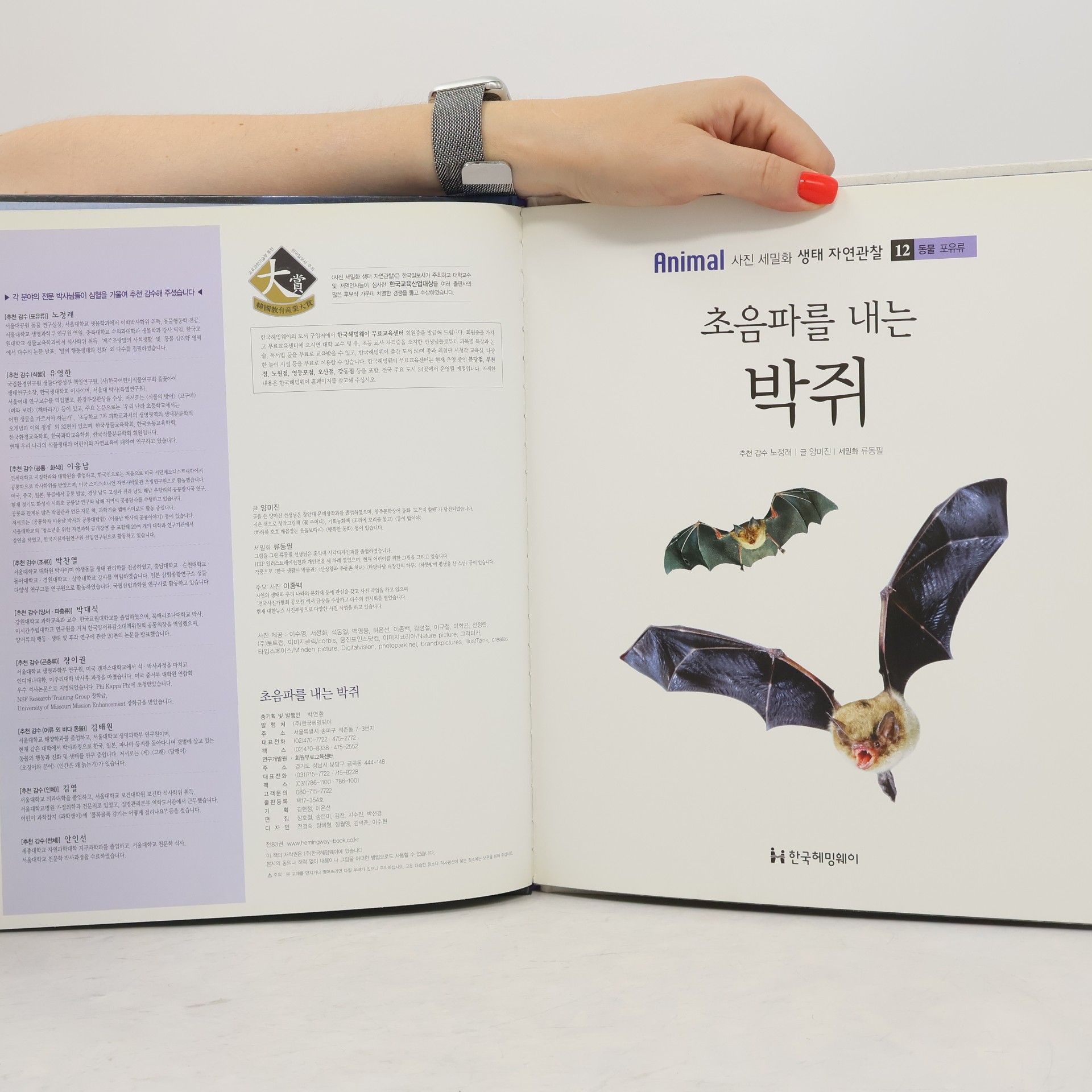 노정래 초음파를 내는 박쥐