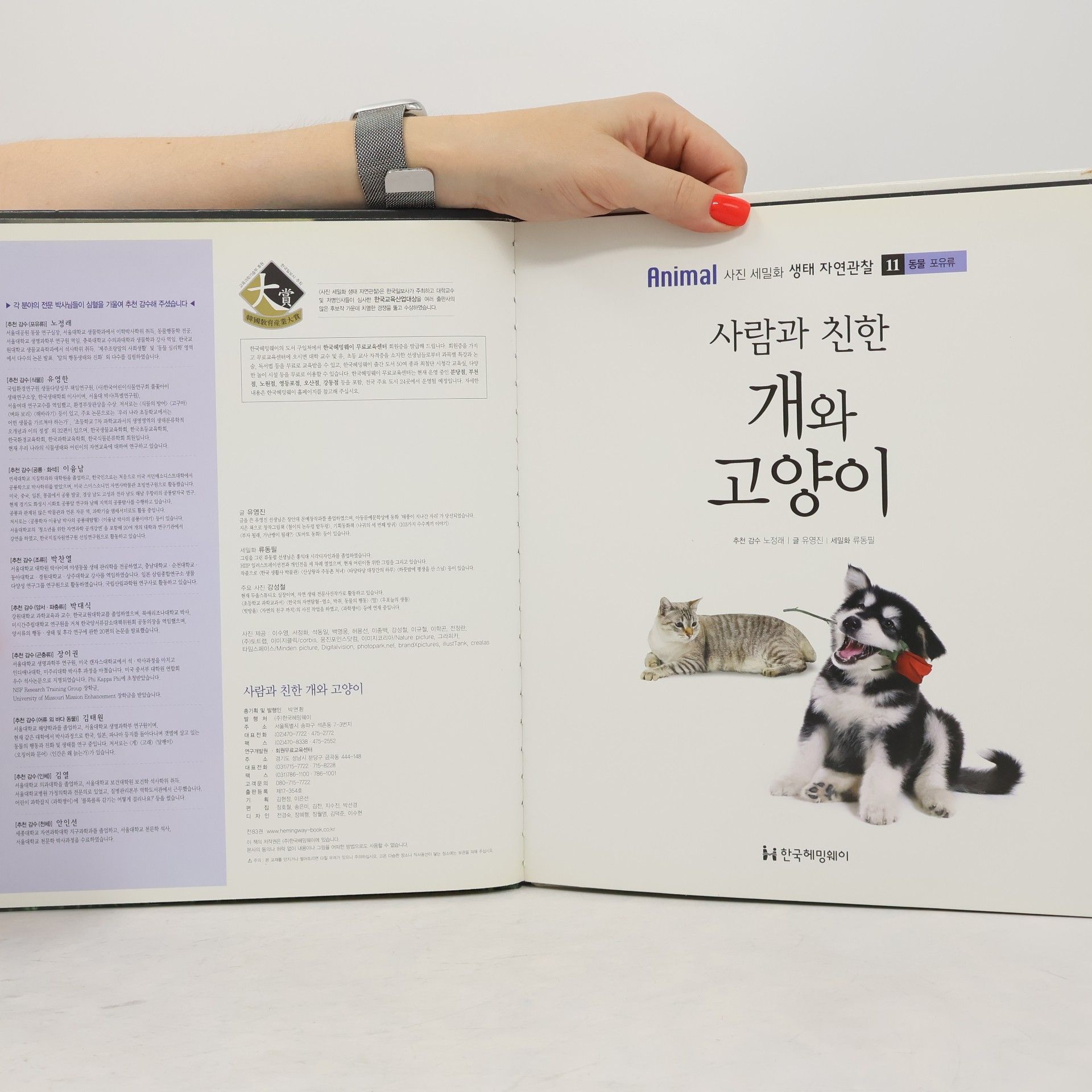유영진 사람과 친한 개와 고양이 11