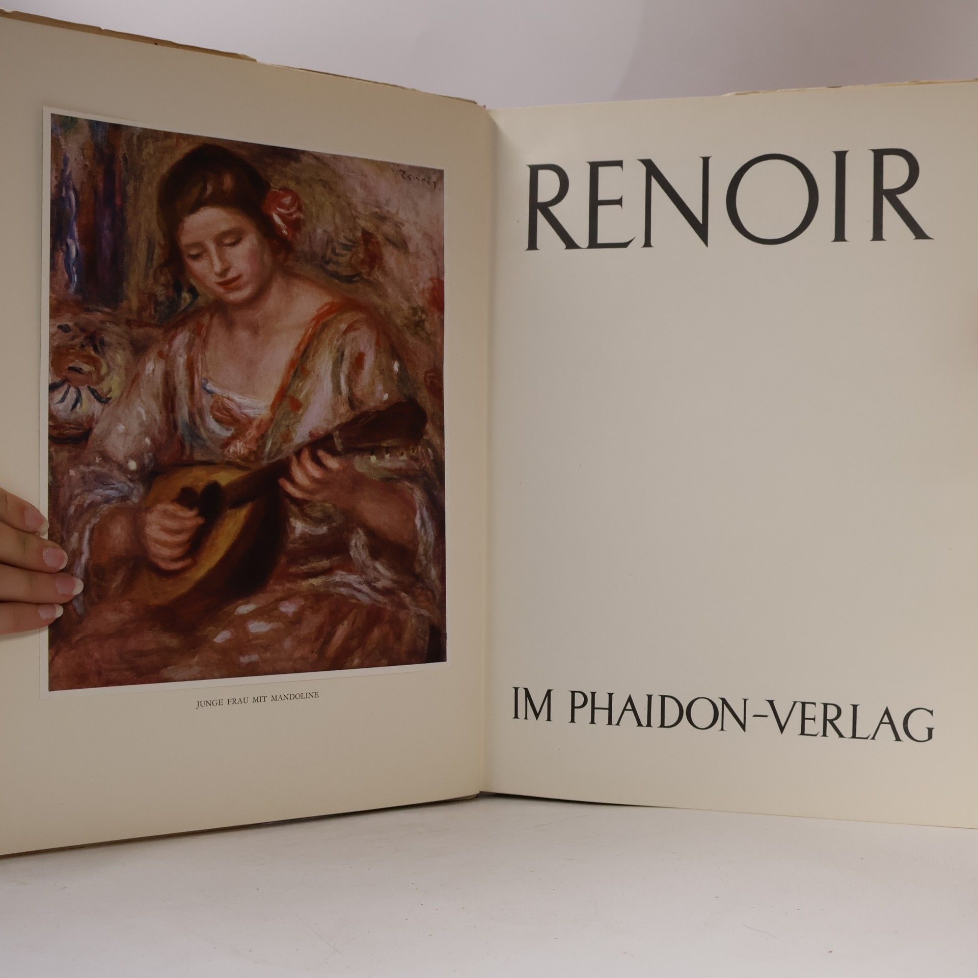 Autorenkollektiv Renoir in Farben