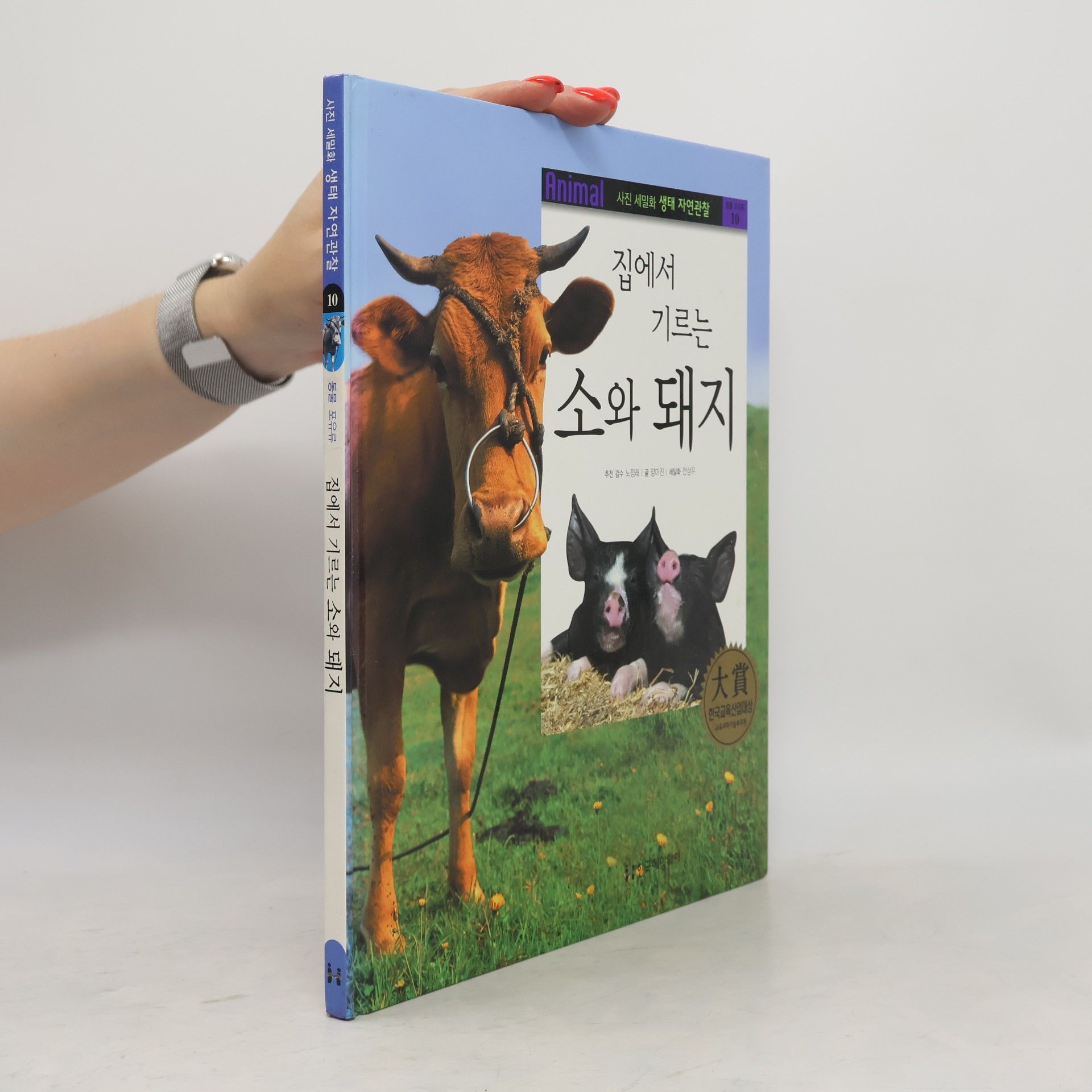 전상우 집에서 기르는 소와 돼지 10