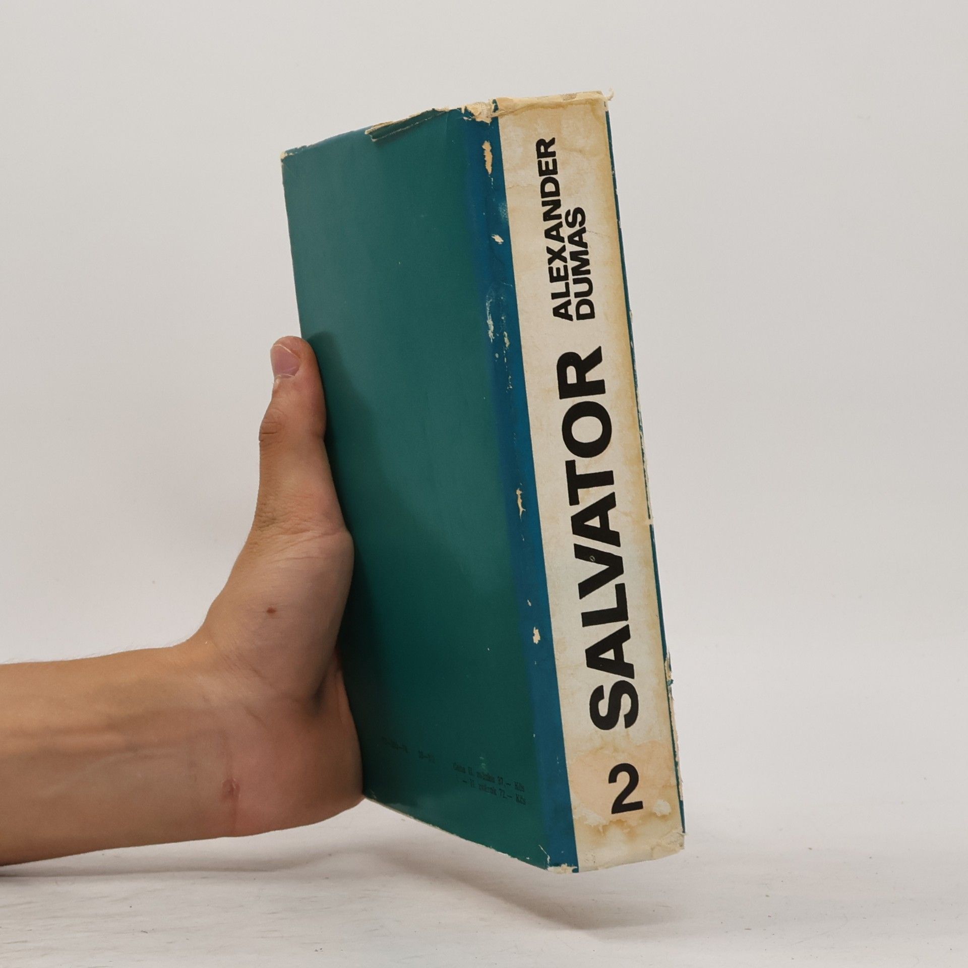 Alexandre Dumas der Ältere Salvator 2