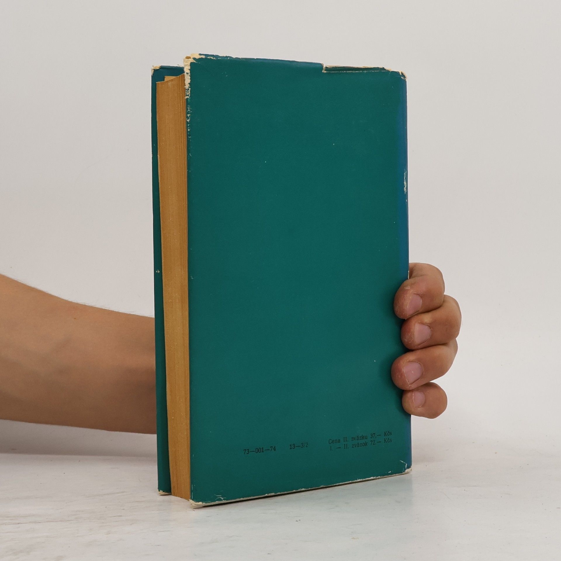 Alexandre Dumas der Ältere Salvator 2