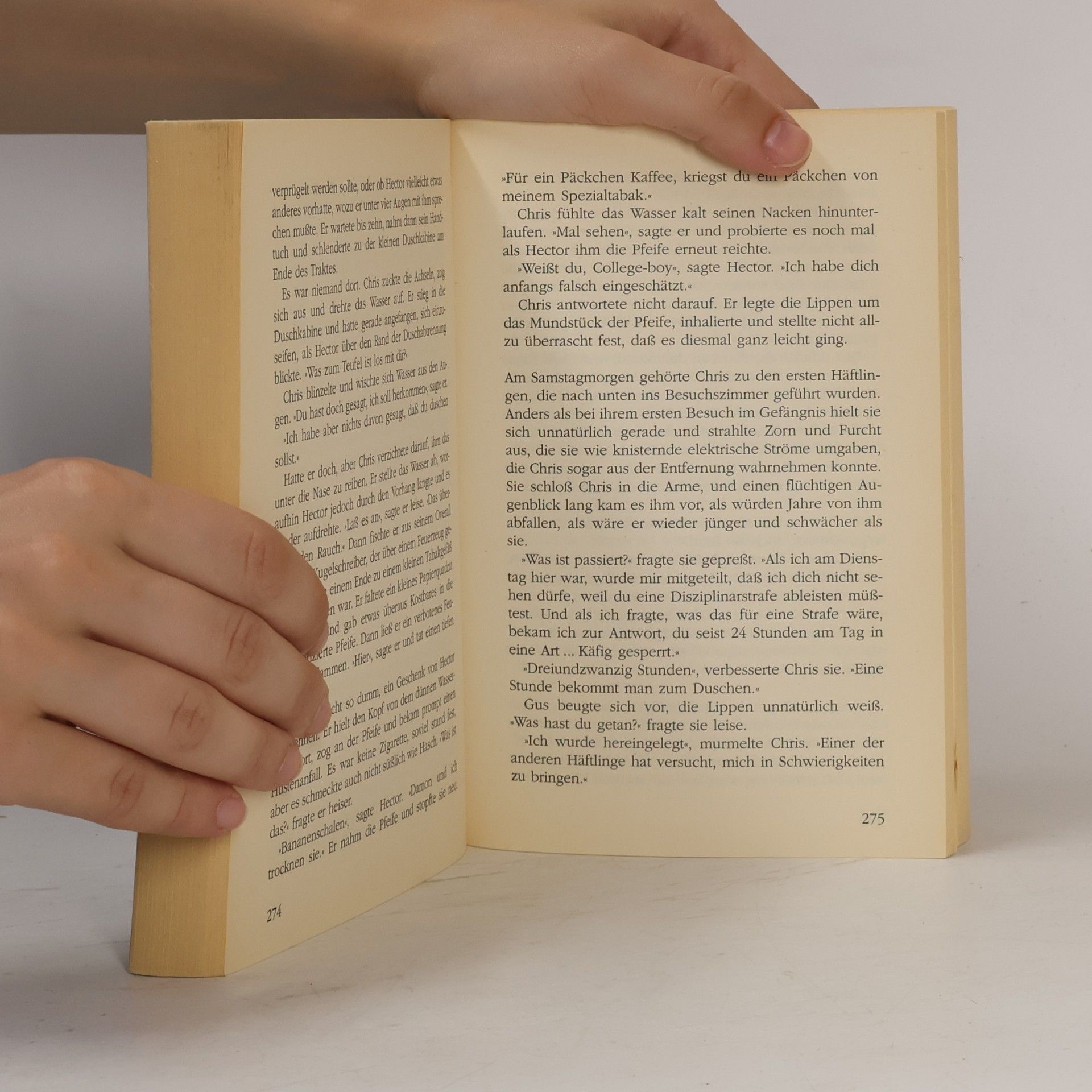 Jodi Picoult Bis ans Ende aller Tage