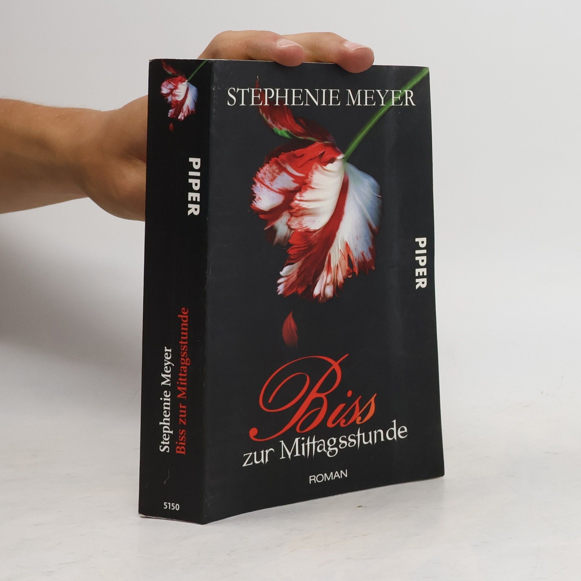 Stephenie Meyer Biss zur Mittagsstunde