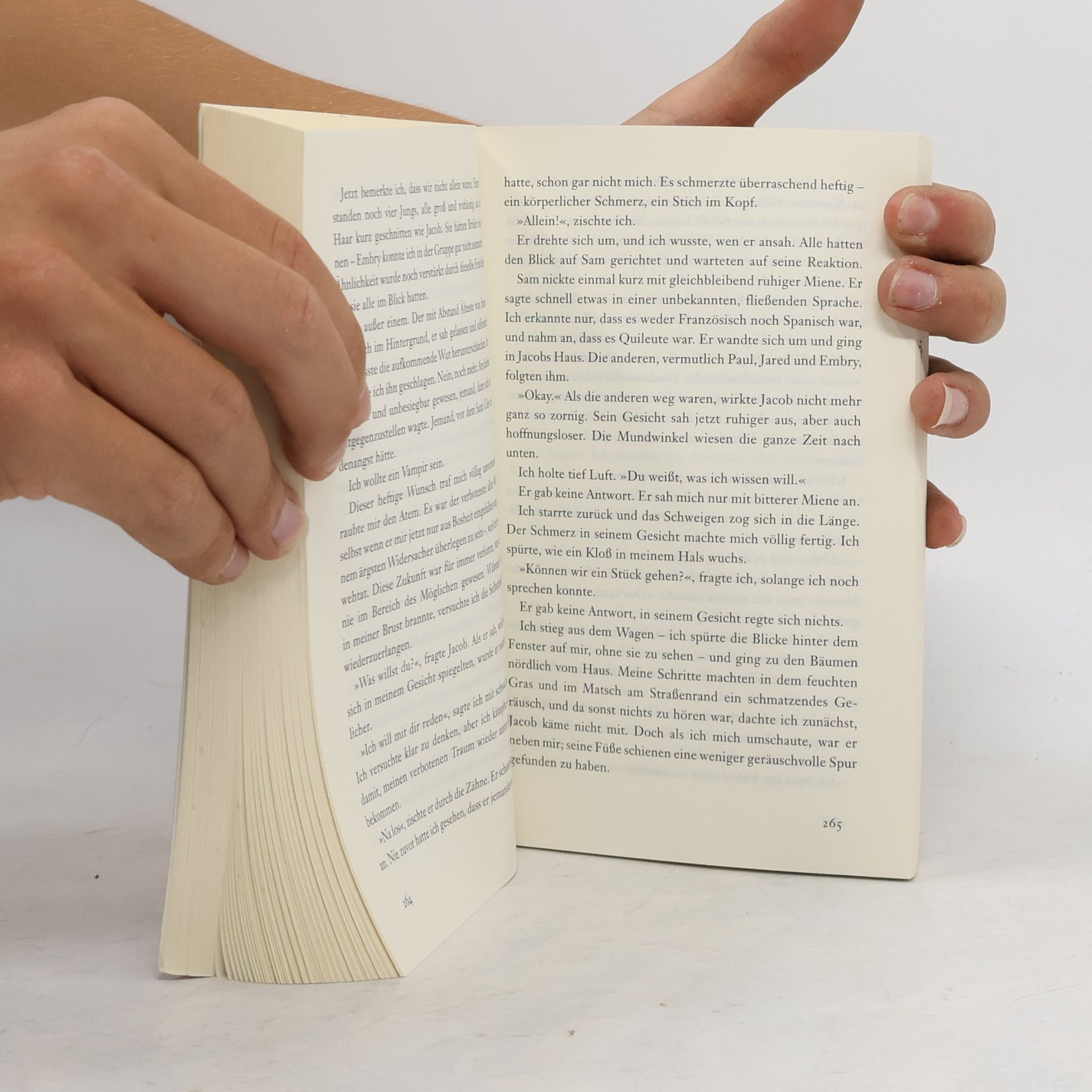 Stephenie Meyer Biss zur Mittagsstunde