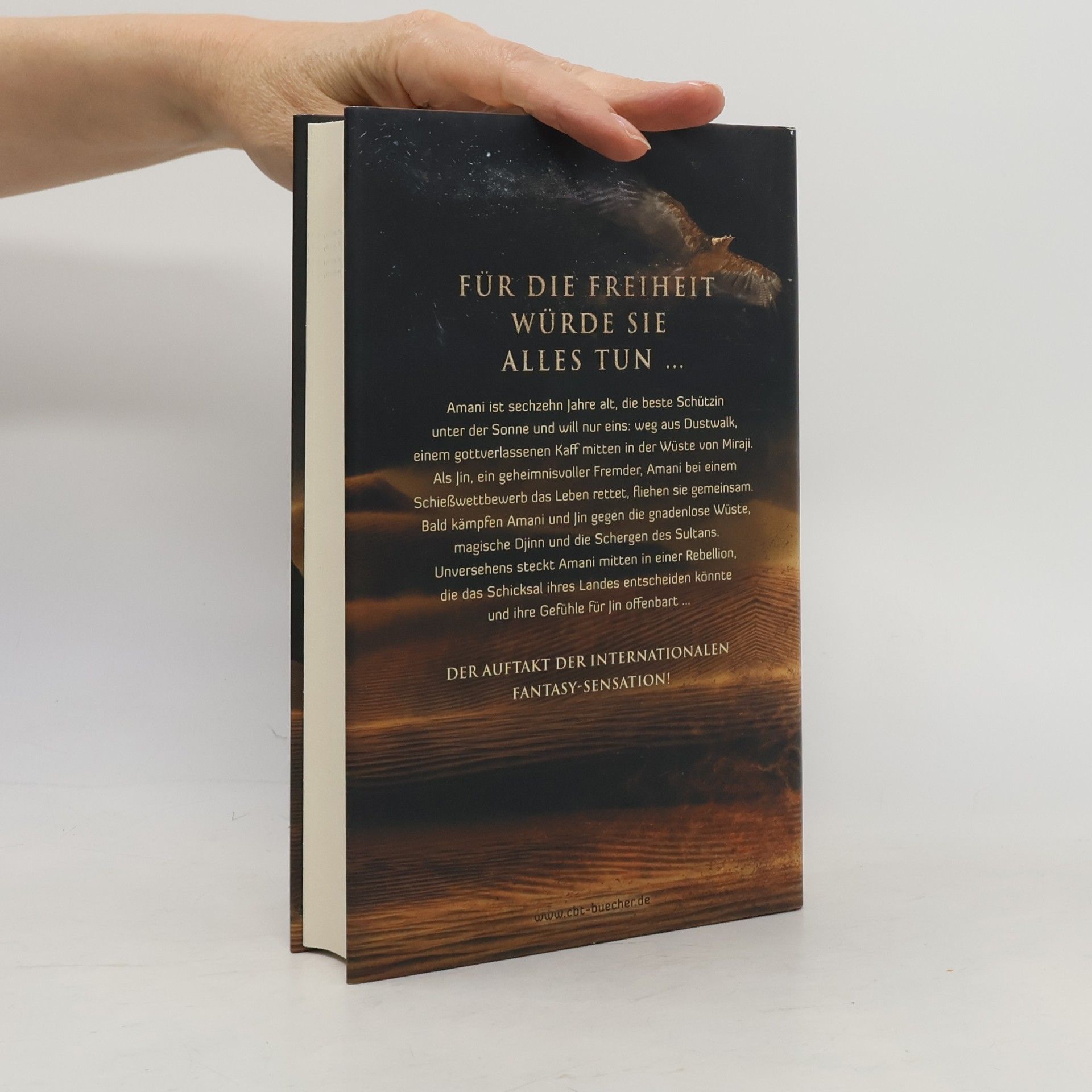 Alwyn Hamilton Rebellin des Sandes
