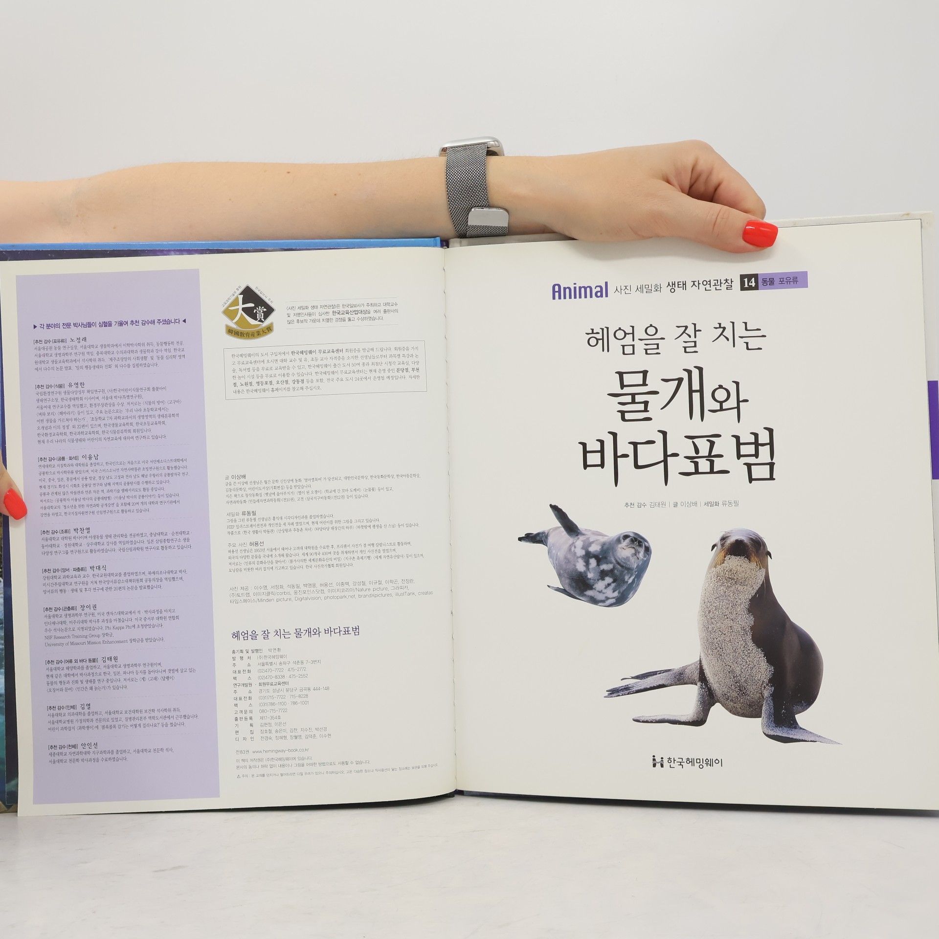 김태정 헤엄을 잘 치는 물개와 바다표범 14