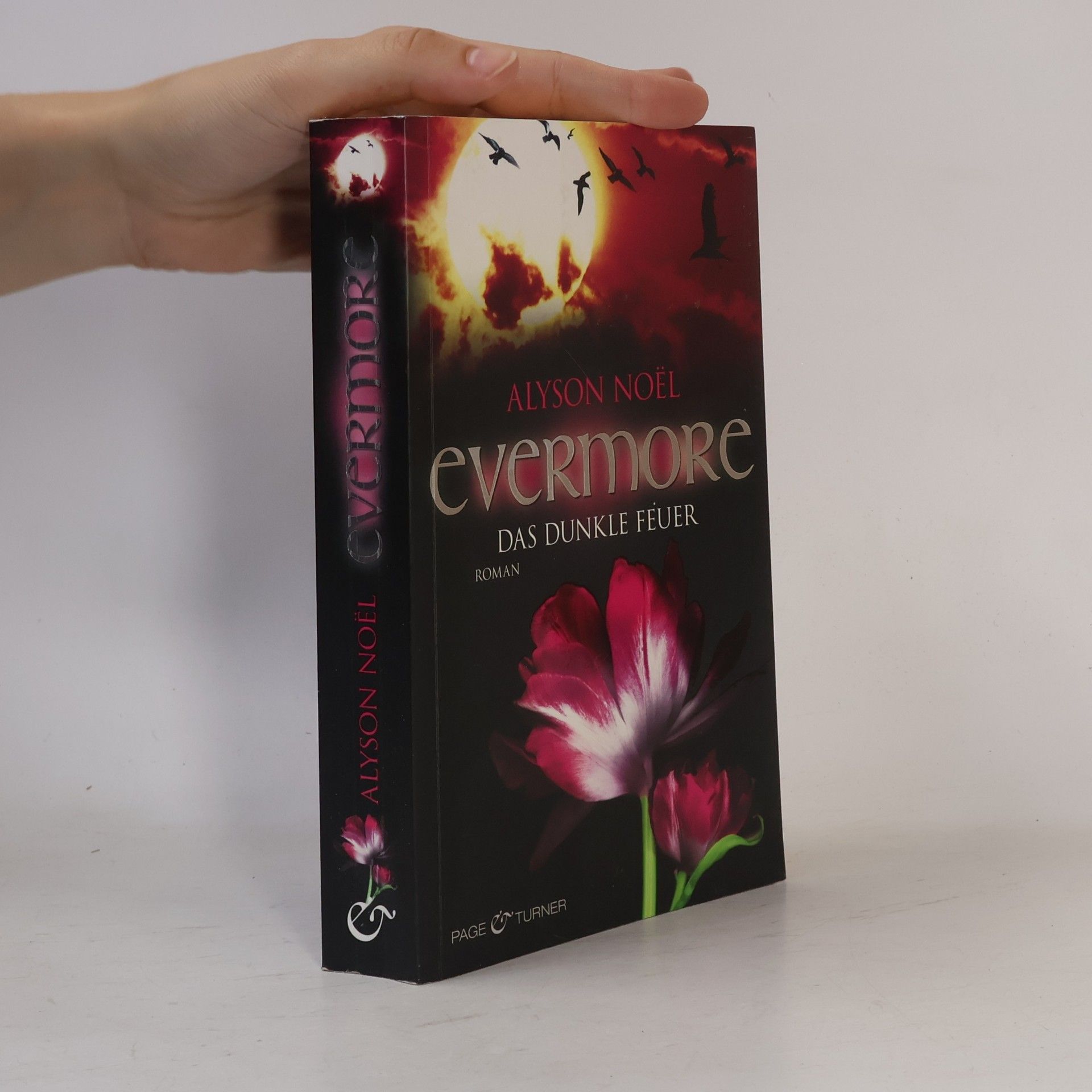 Evermore: Das dunkle Feuer