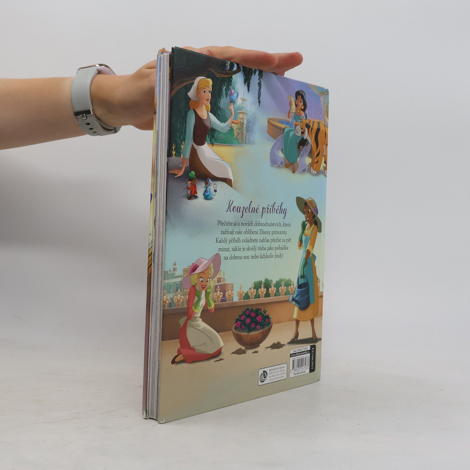 Collectif d'auteurs Disney princezna : 5minutové pohádky
