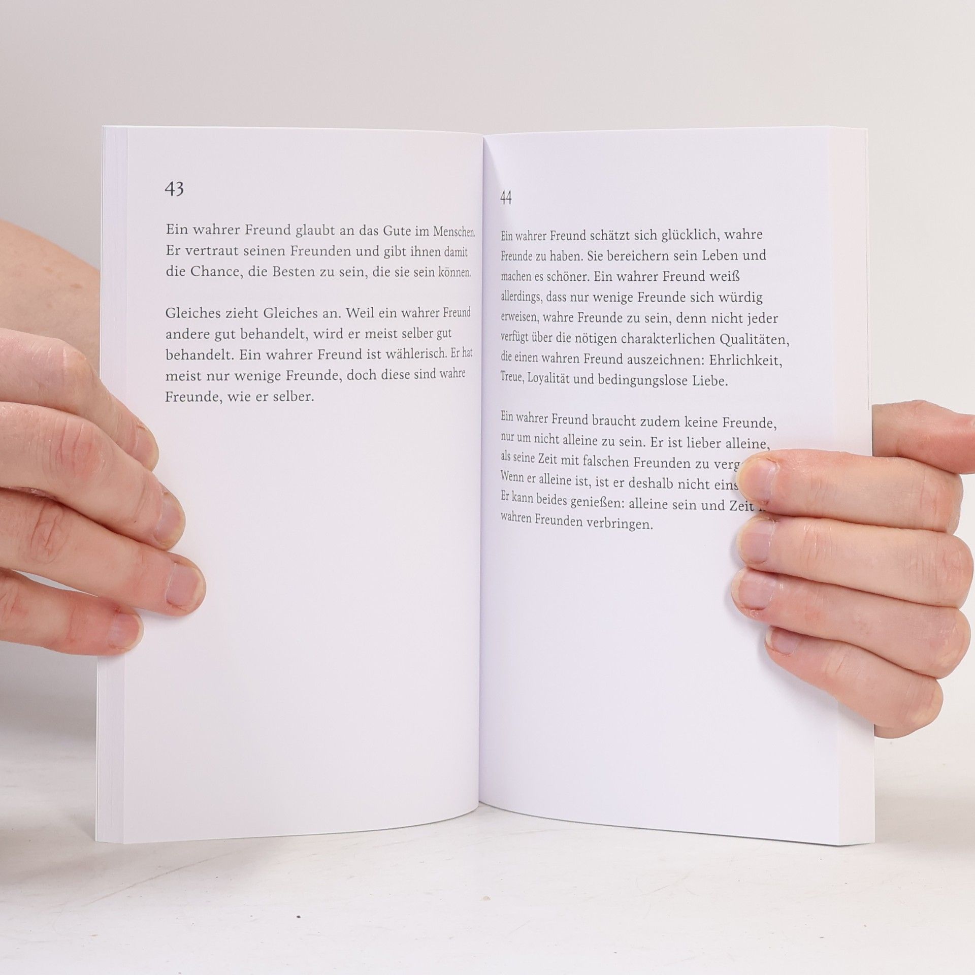 Jonathan Mittermair Handbuch des wahren Freundes
