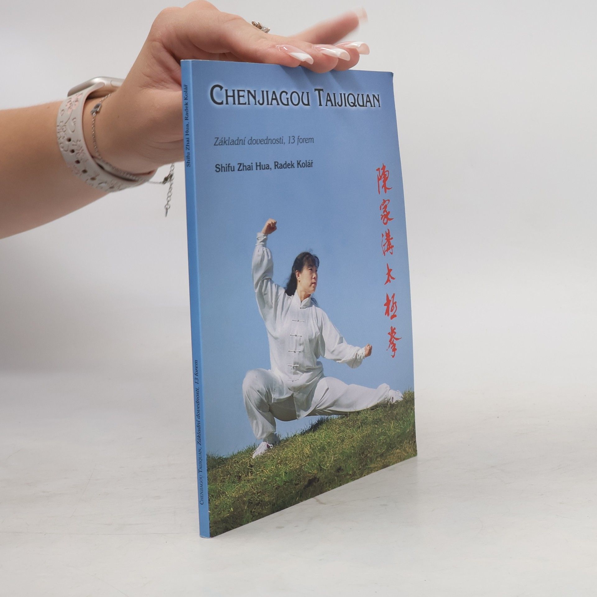 Shifu Zhai Hua Chenjiagou Taijiquan. Základní dovednosti, třináct forem
