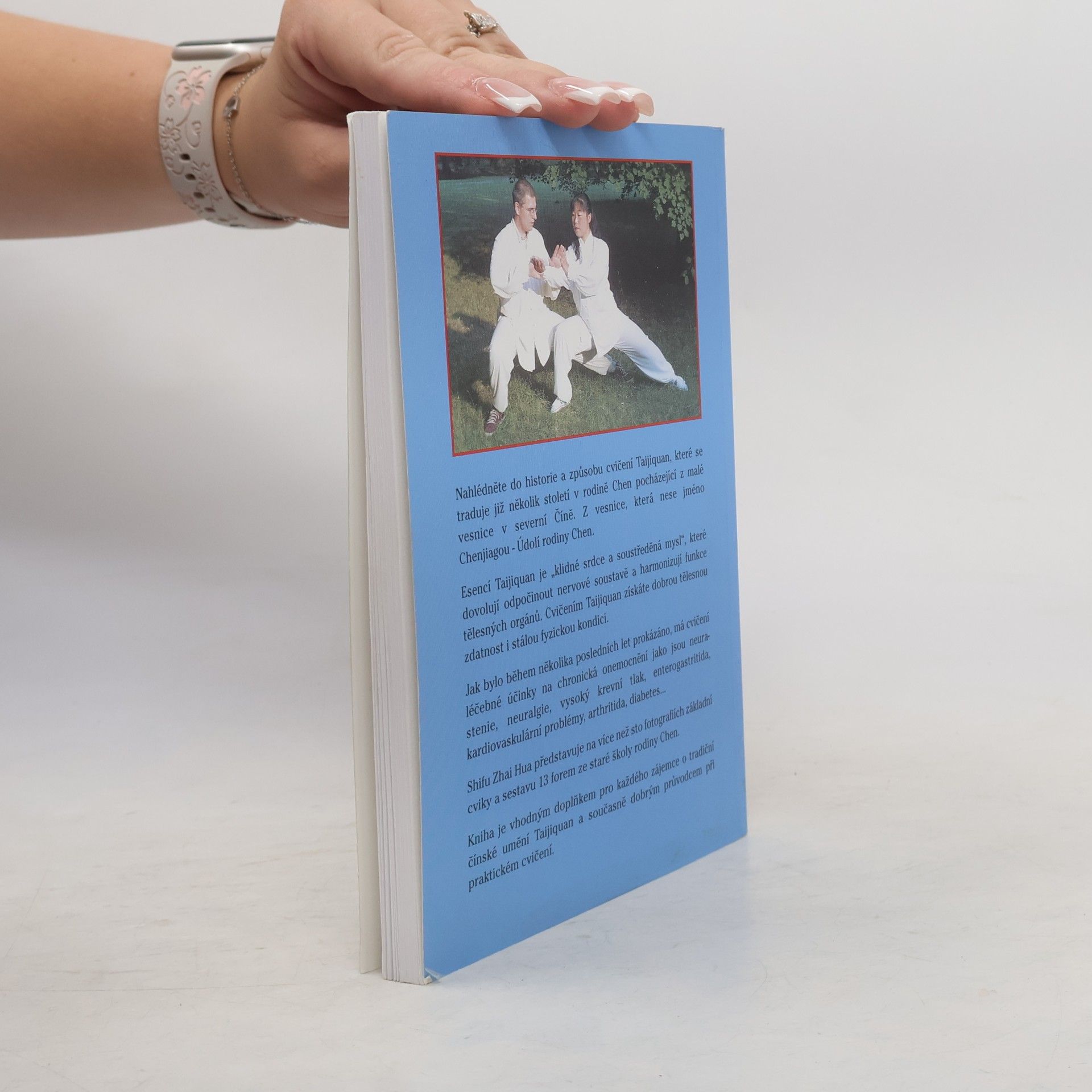 Shifu Zhai Hua Chenjiagou Taijiquan. Základní dovednosti, třináct forem