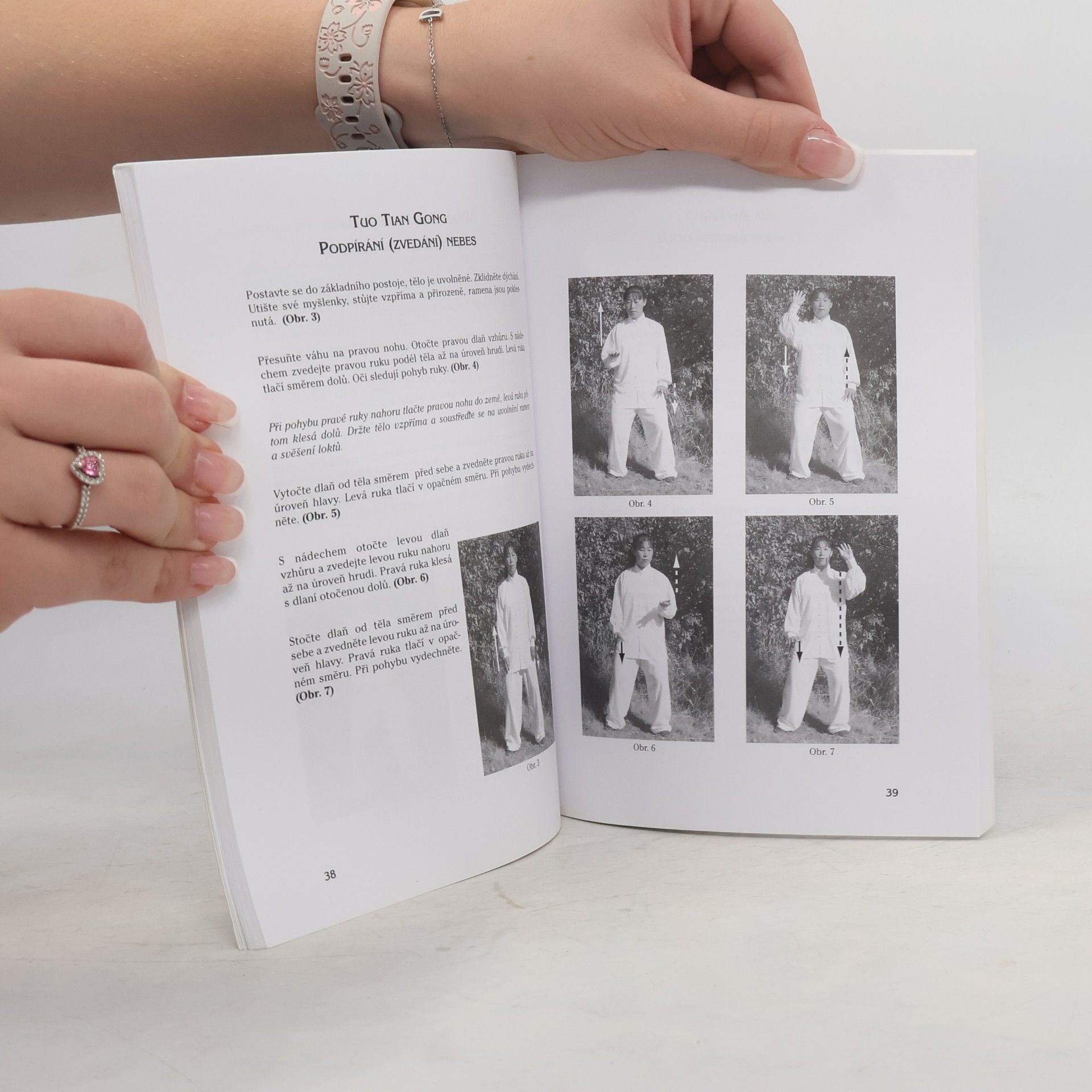 Shifu Zhai Hua Chenjiagou Taijiquan. Základní dovednosti, třináct forem