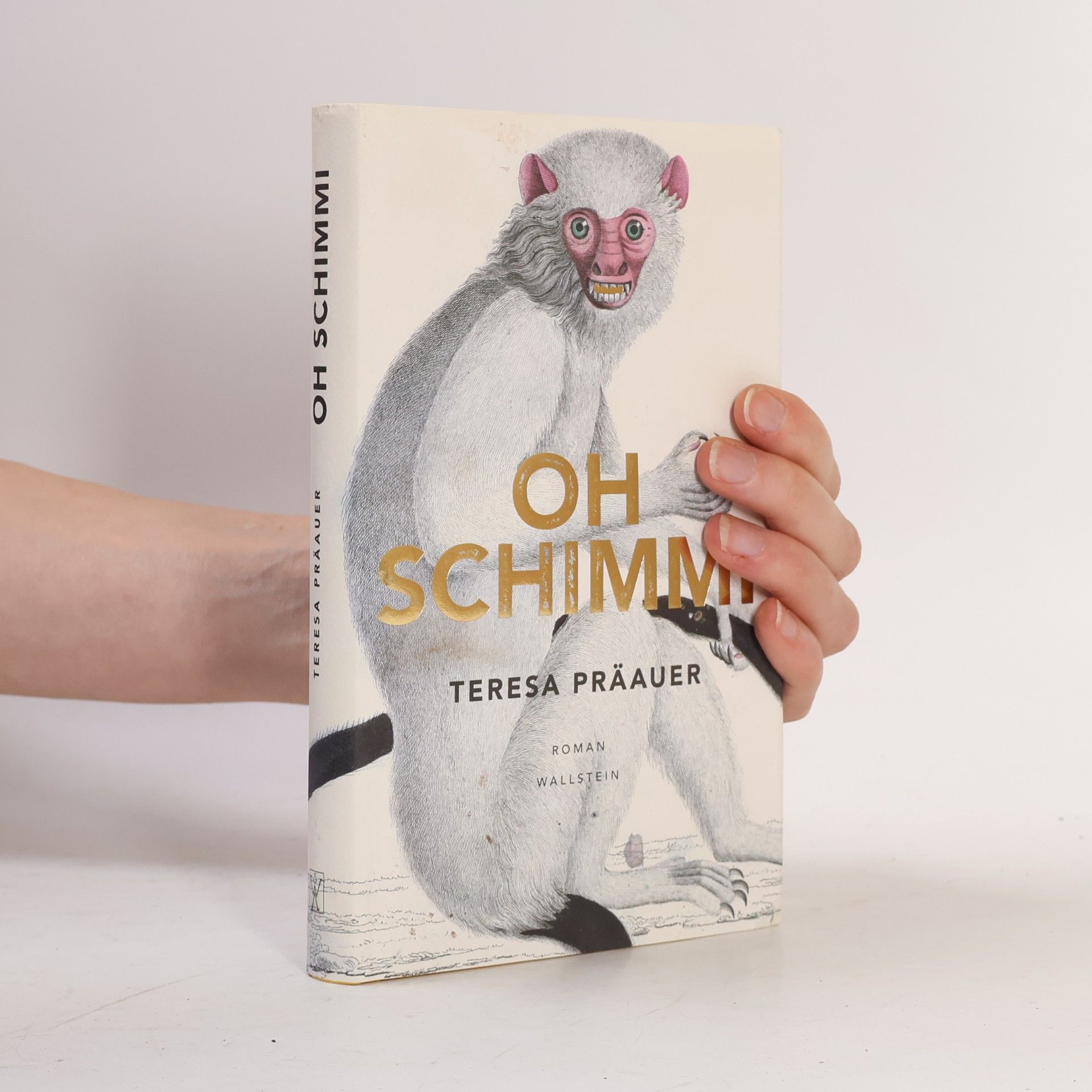 Teresa Präauer Oh Schimmi