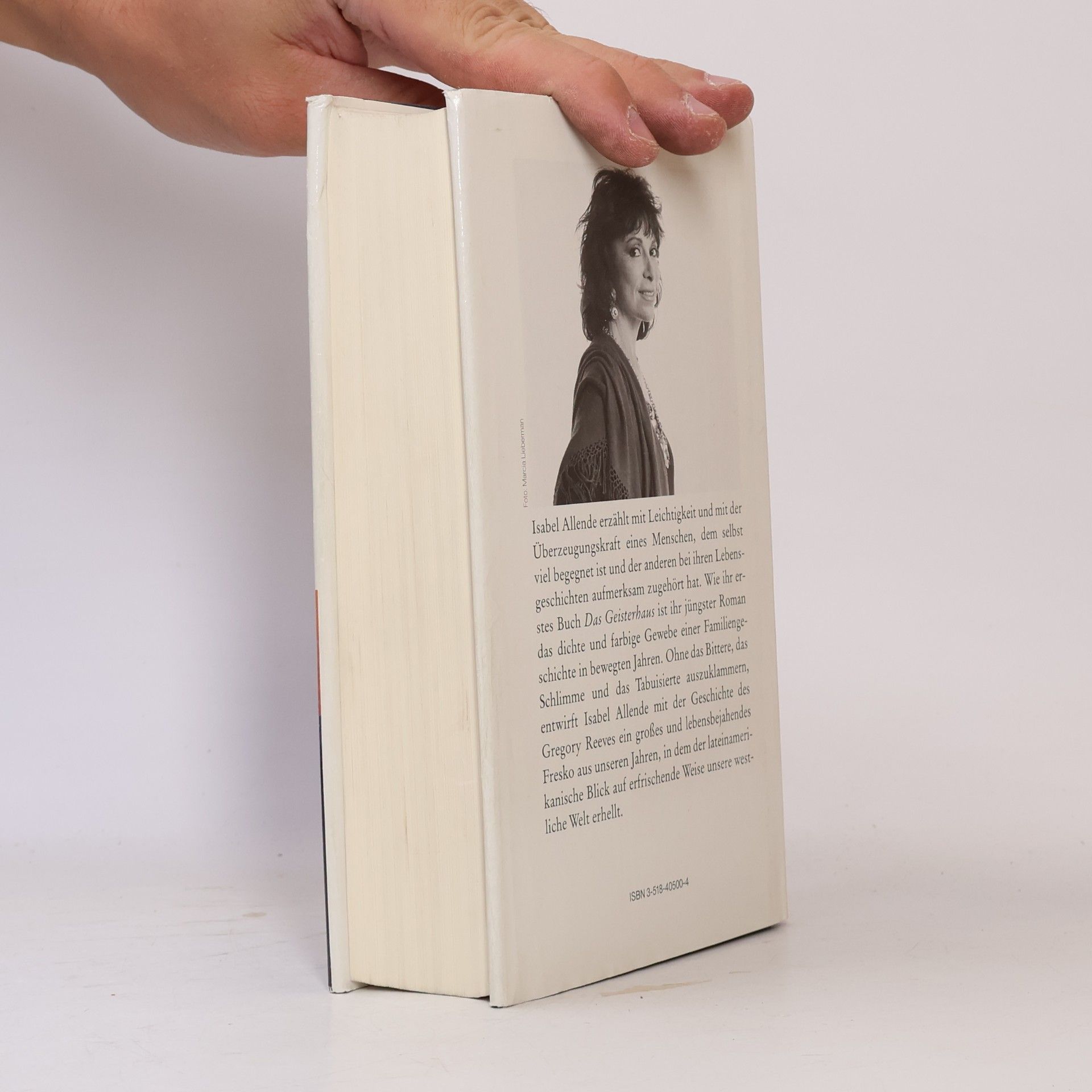 Isabel Allende Der unendliche Plan