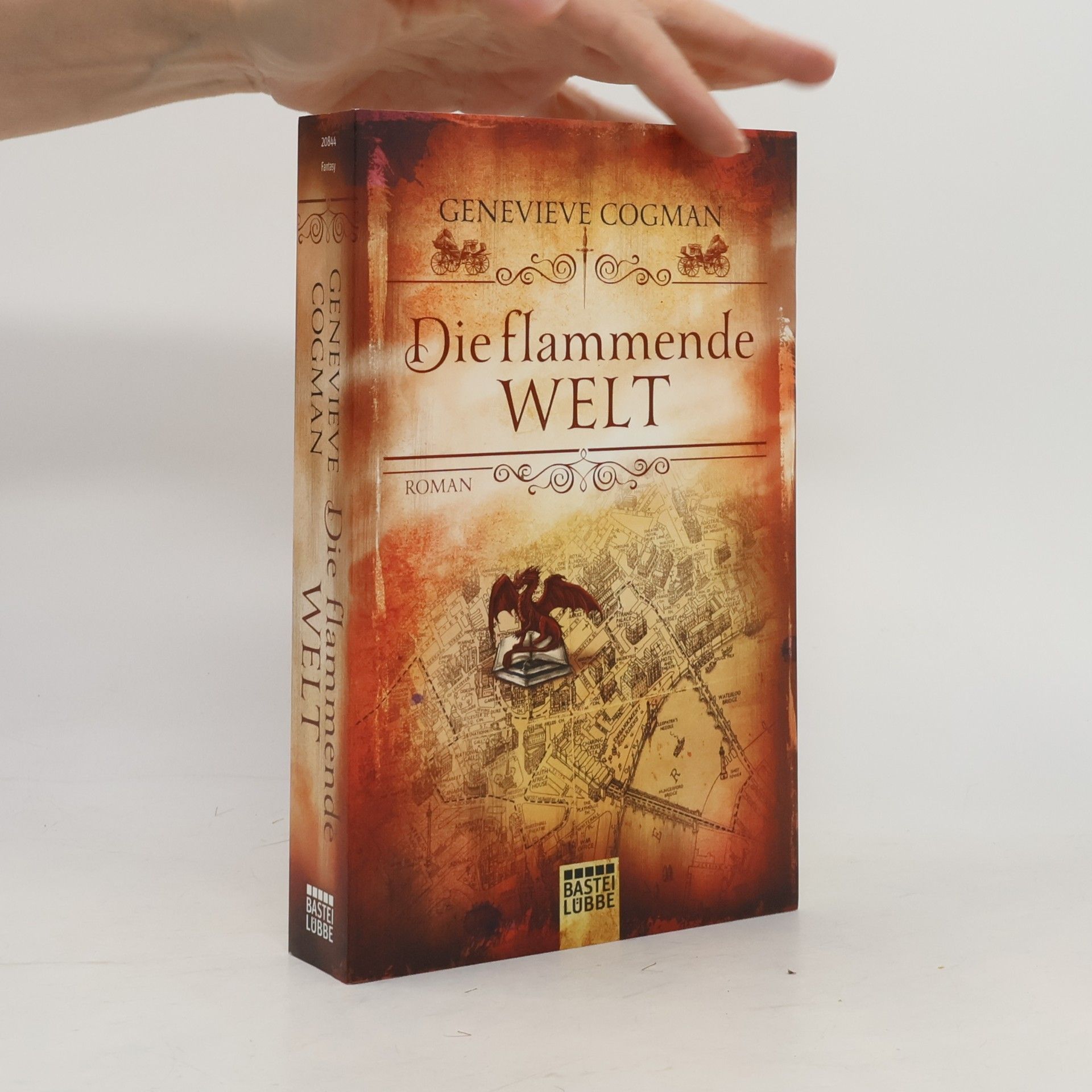 Genevieve Cogman Die flammende Welt