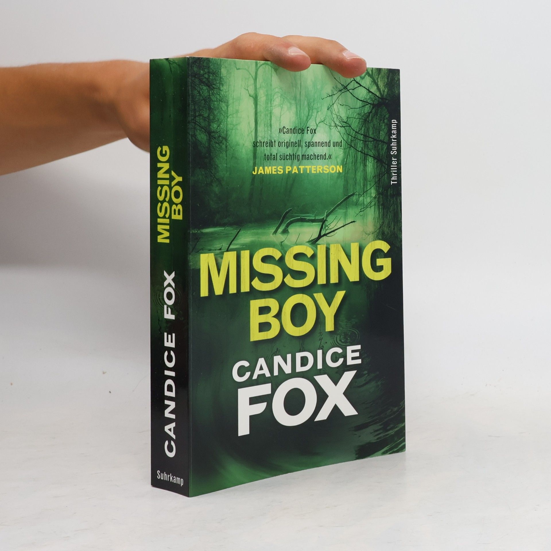 Candice Fox Missing boy