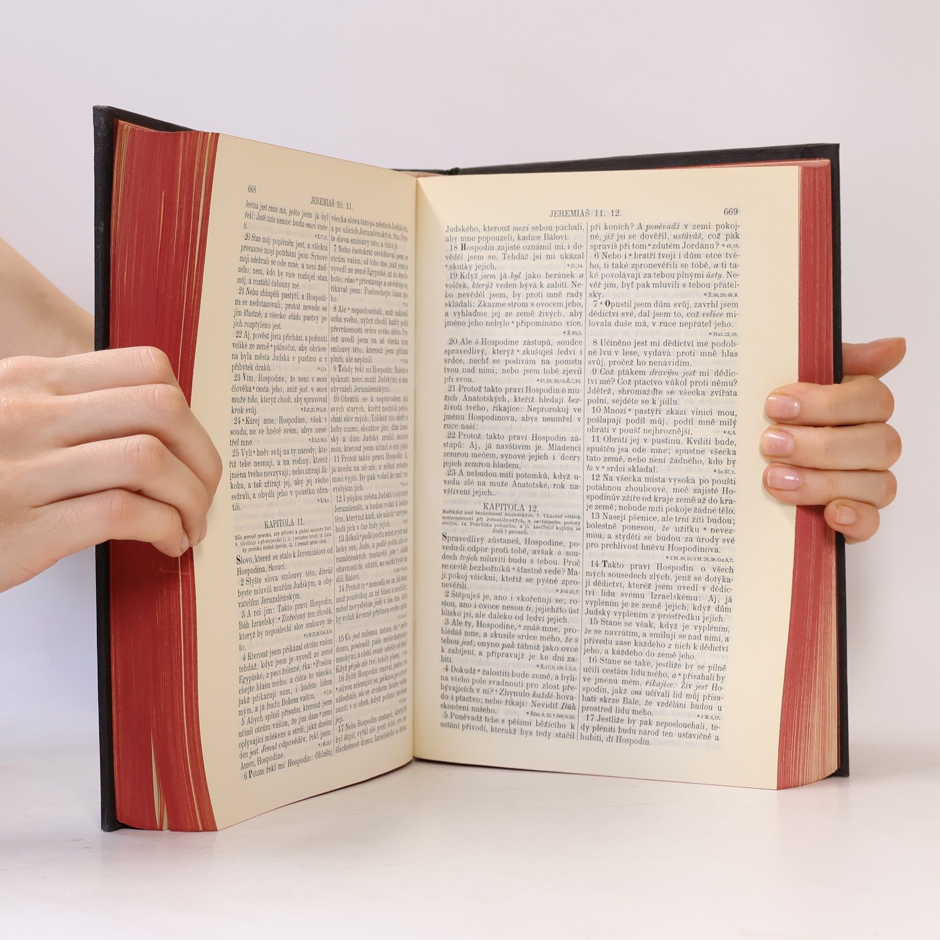 Kolektiv autorů Bible svatá