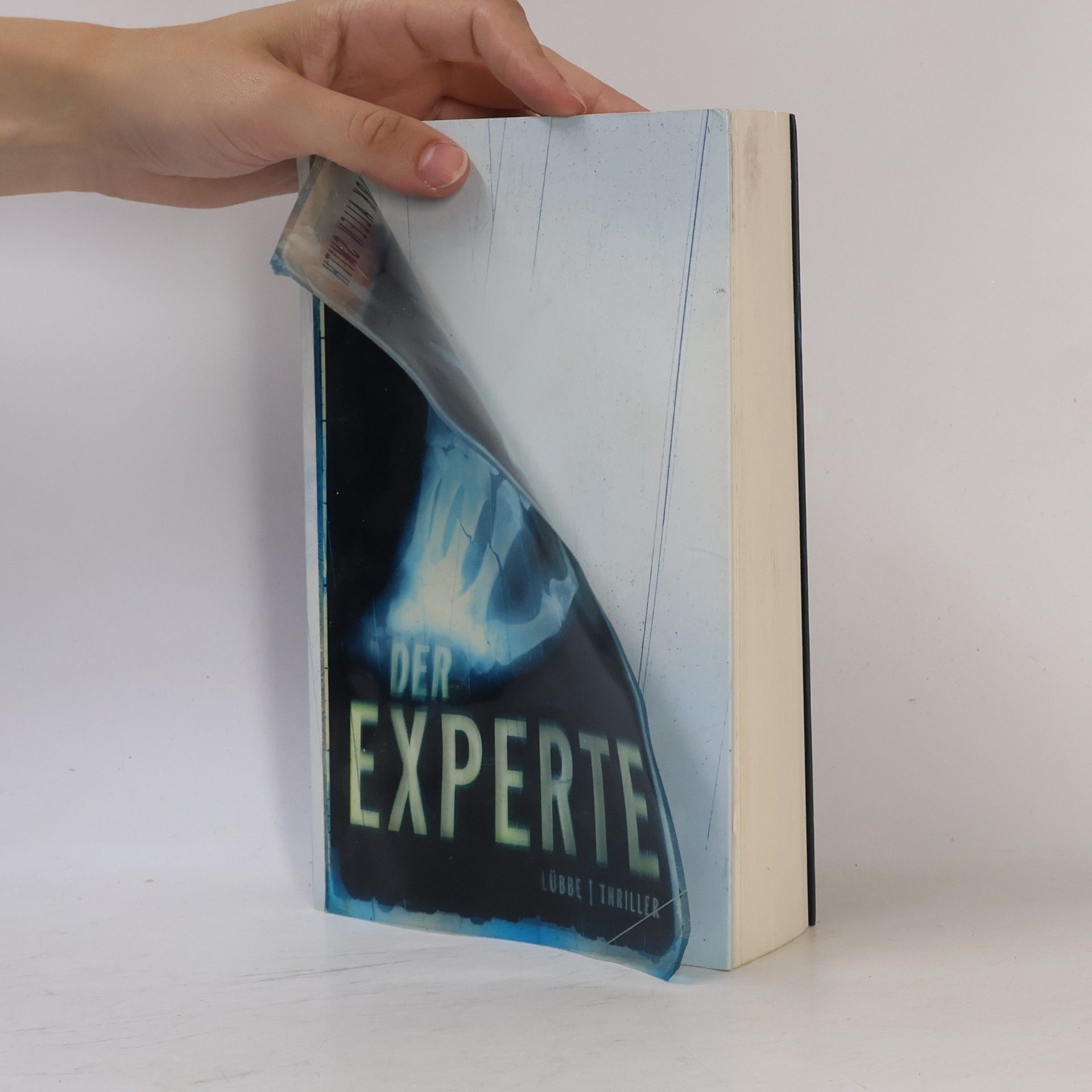 Mark Allen Smith Der Experte