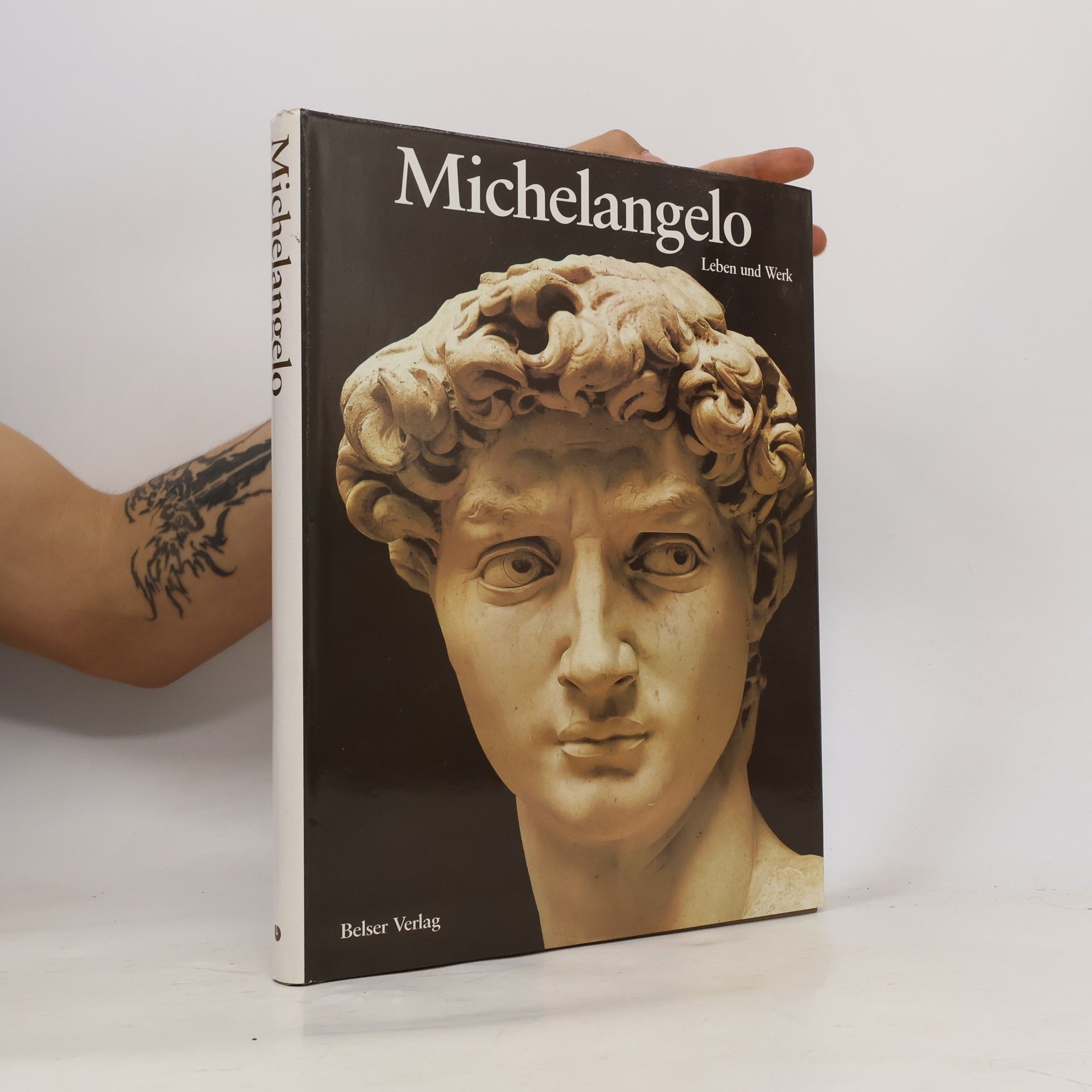 Bernard Lamarche-Vadel Michelangelo