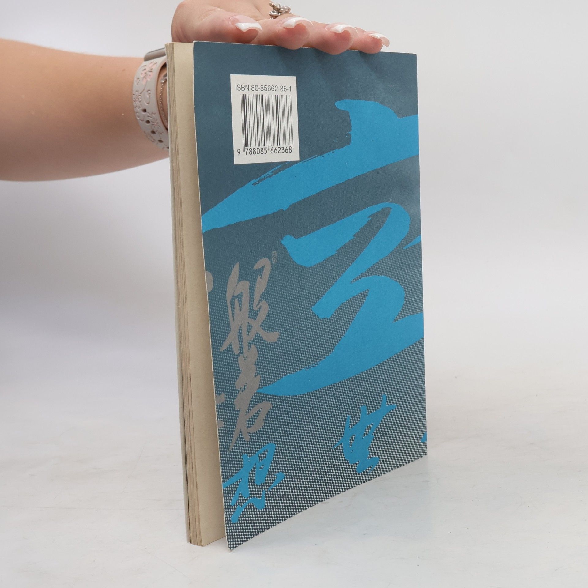 Kaisen Zazen Satori
