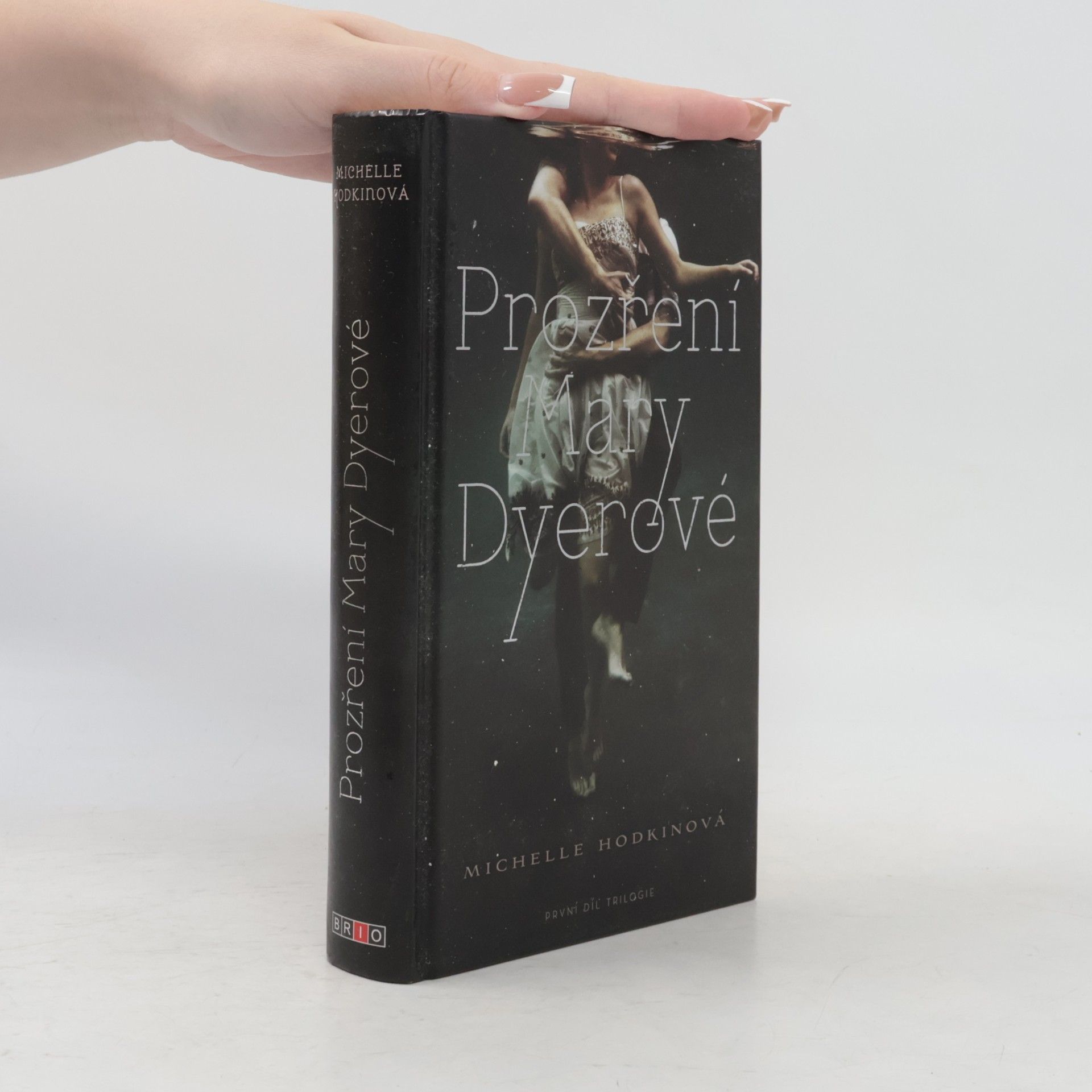 Michelle Hodkin Prozření Mary Dyerové