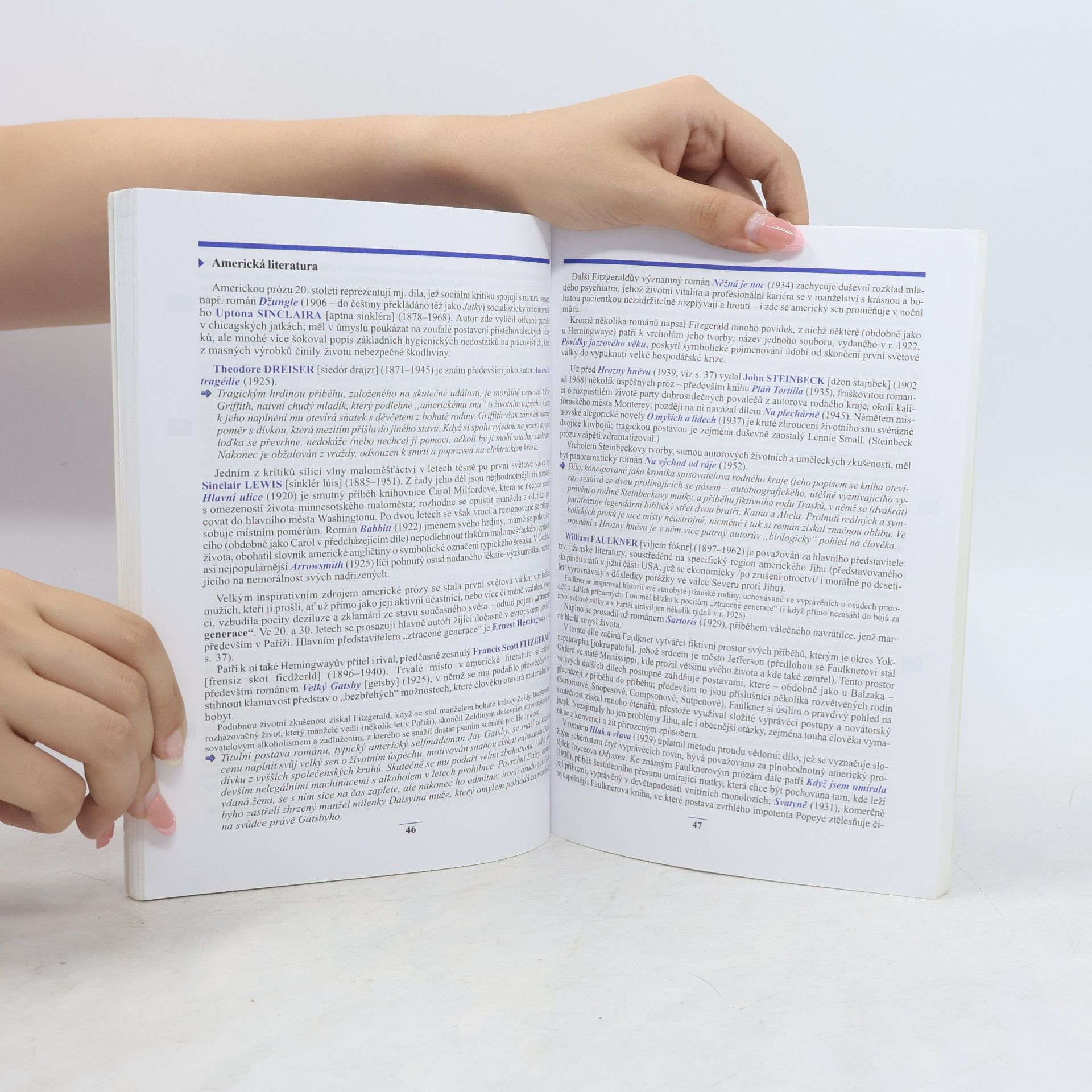 Josef Soukal Přehled dějin literatury: pro střední školy