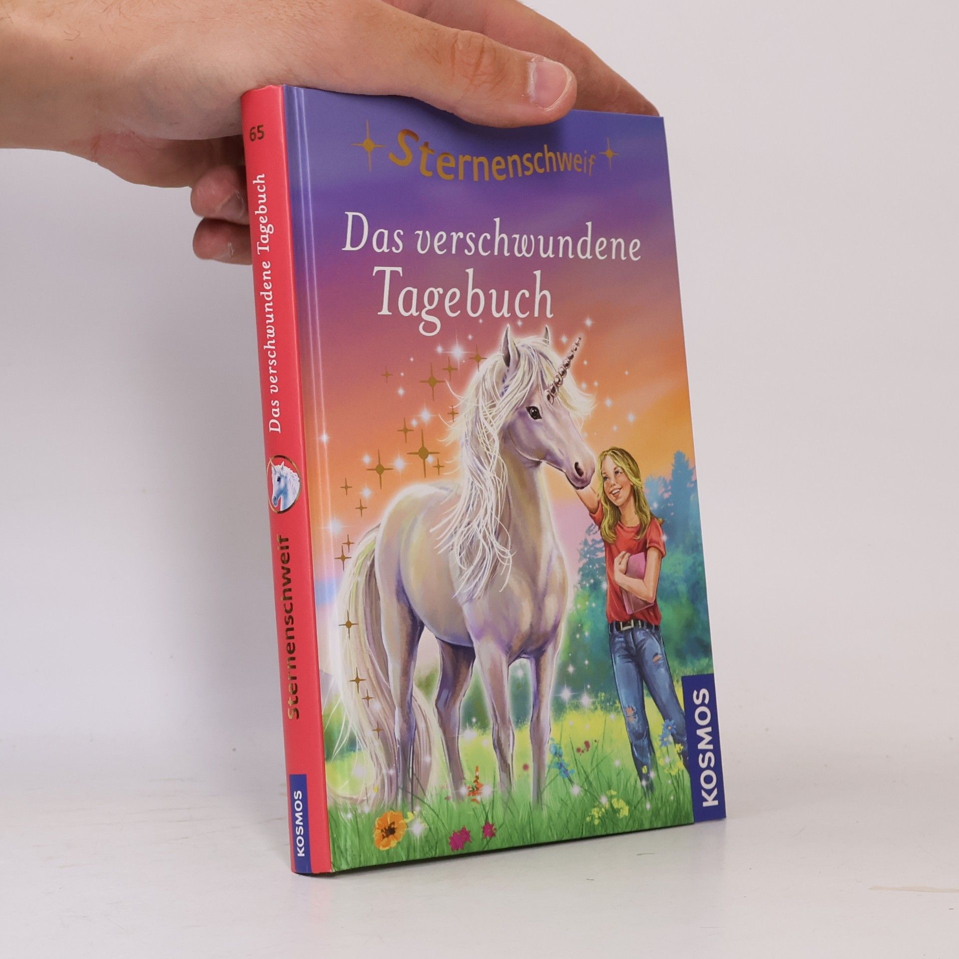 Anne Scheller Das verschwundene Tagebuch